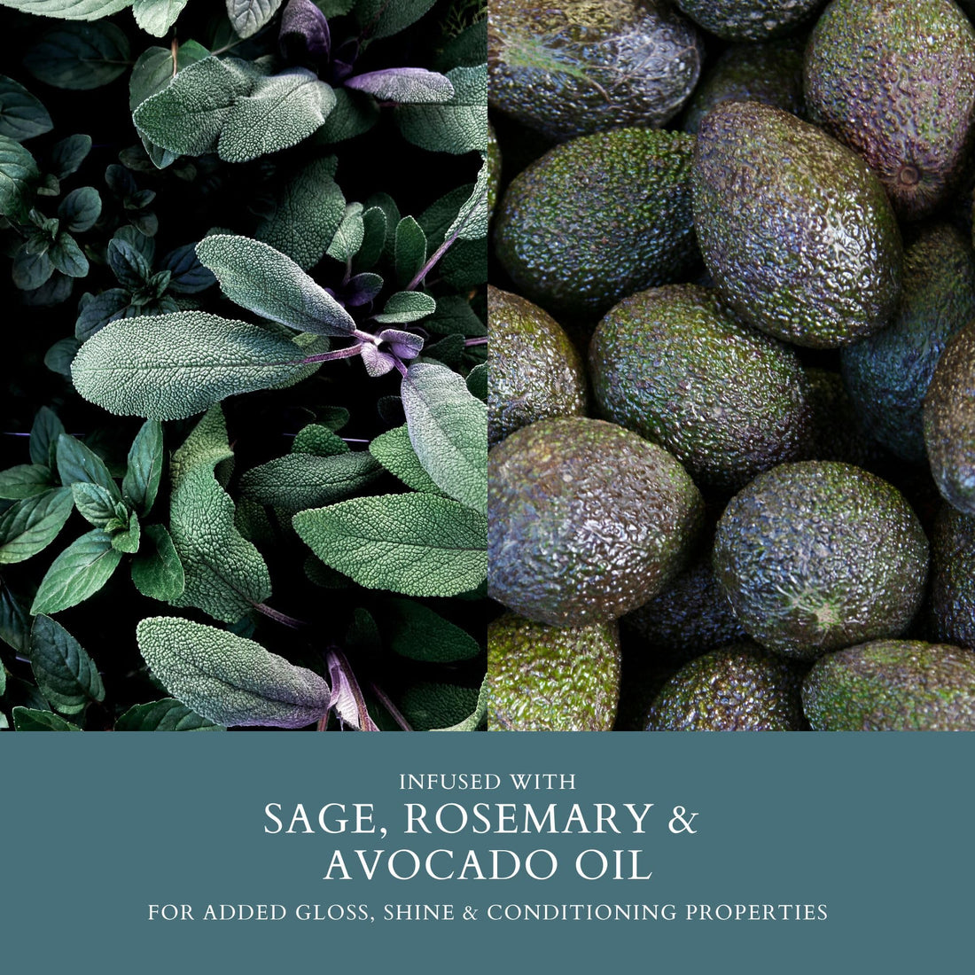 smartSOLUTIONS Dual-Action Creme Shampoo | Sulfate, Paraben & Sodium Chloride Free | Color Safe & Chemically Treated Hair Safe (8 fl oz)