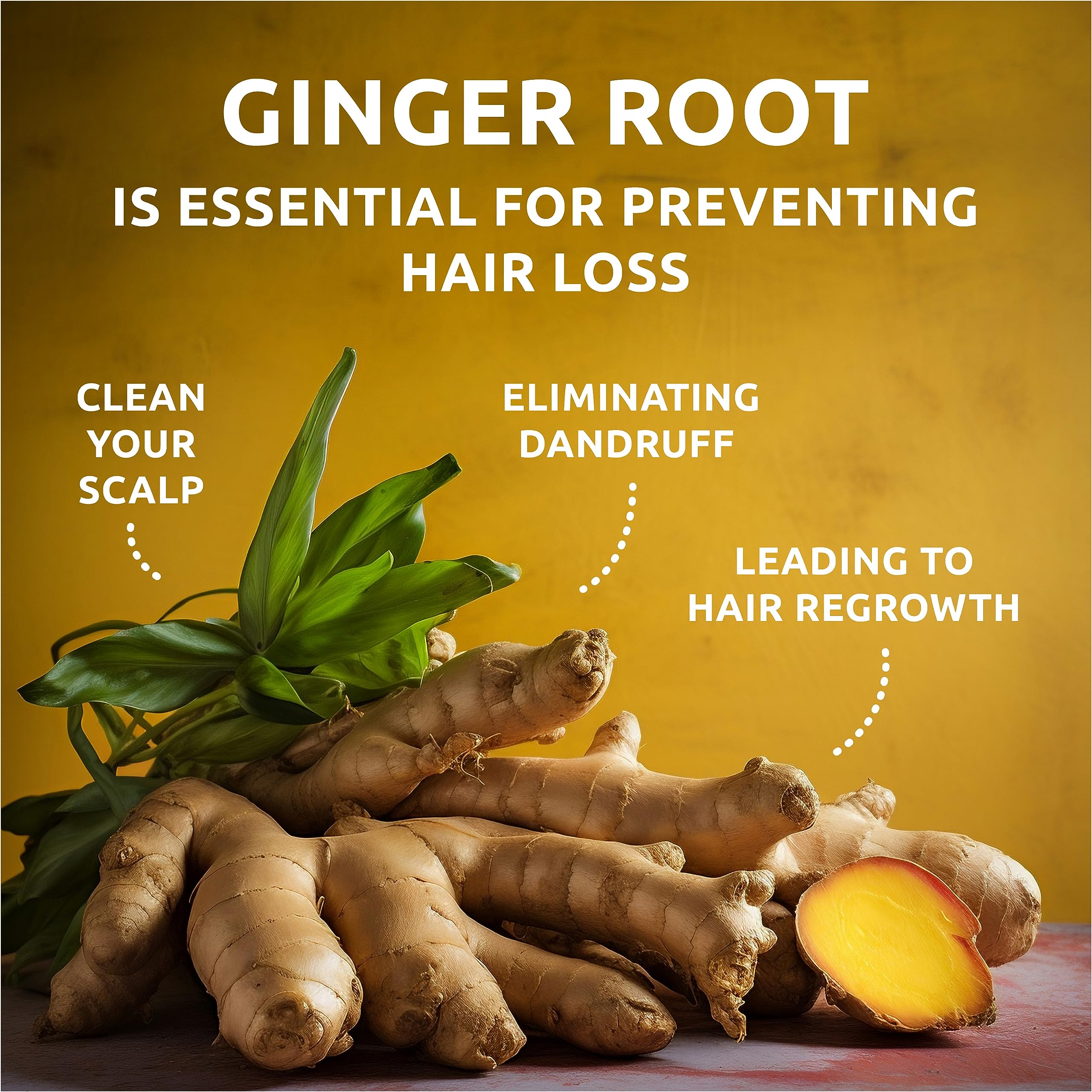 Organic Ginger Hair Growth Solid Shampoo Bar for Regrowth Hair | GINGER ROOT, CAMELINA OIL, TURMERIC, LEMONGRASS | Anti Hair Loss Shampoo, Anti-Dandruff and Anti-Itching | USA MADE (1 pack)