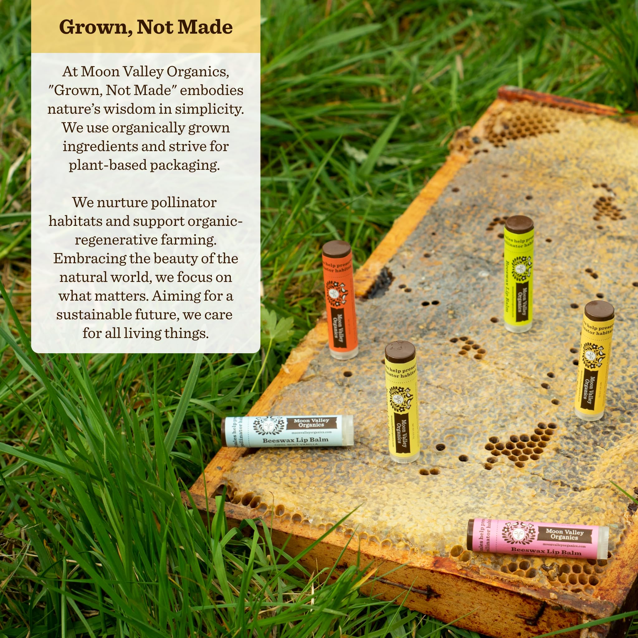 Moon Valley Organics Beeswax Lip Balm for Moisturizing Lips and Cuticles (SWEET HONEY, 6-Pack)