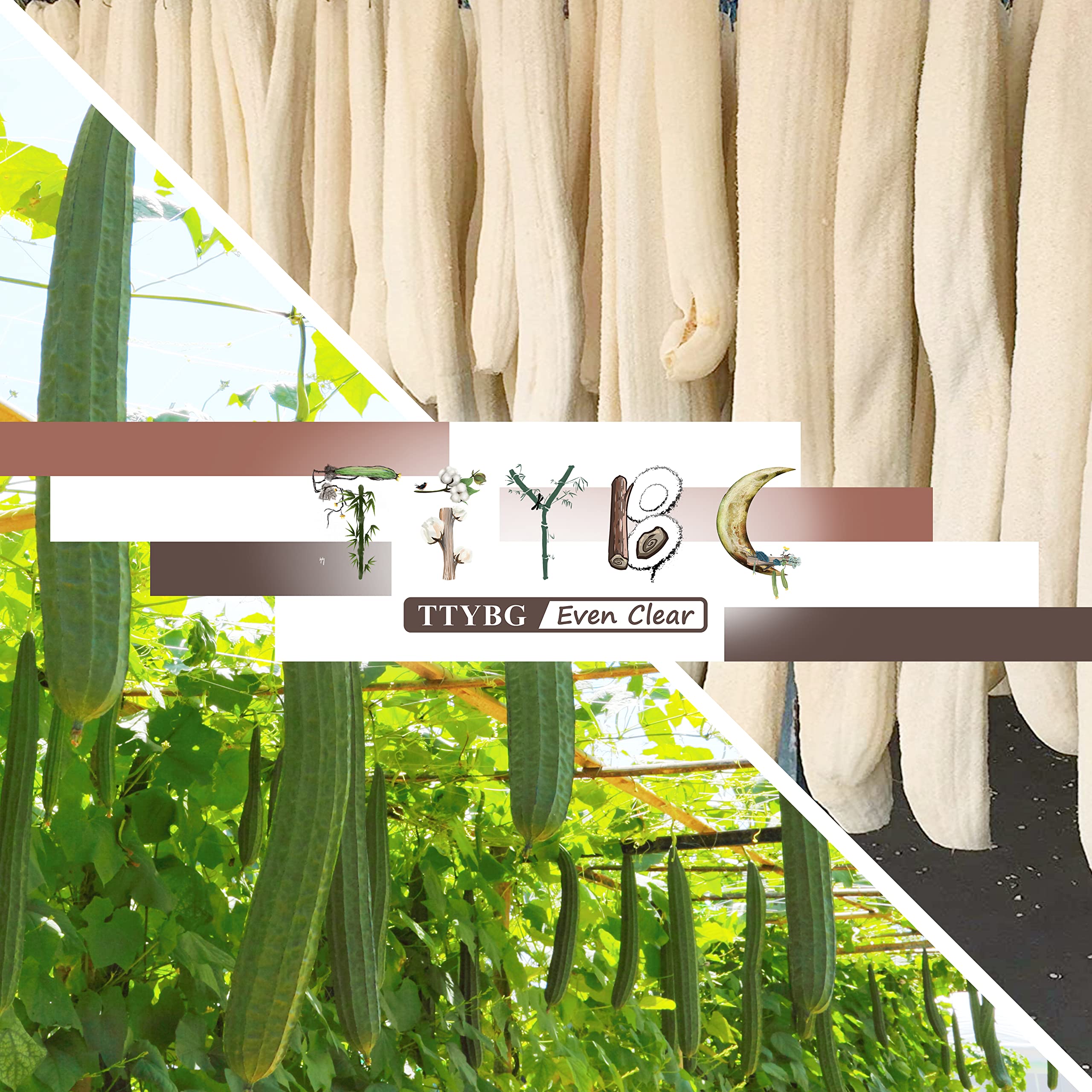 Natural Exfoliating Loofah Luffa Loofa Back Sponge Scrubber Brush with Long Wooden Handle Stick Holder Body Shower Bath Spa Pack of 1