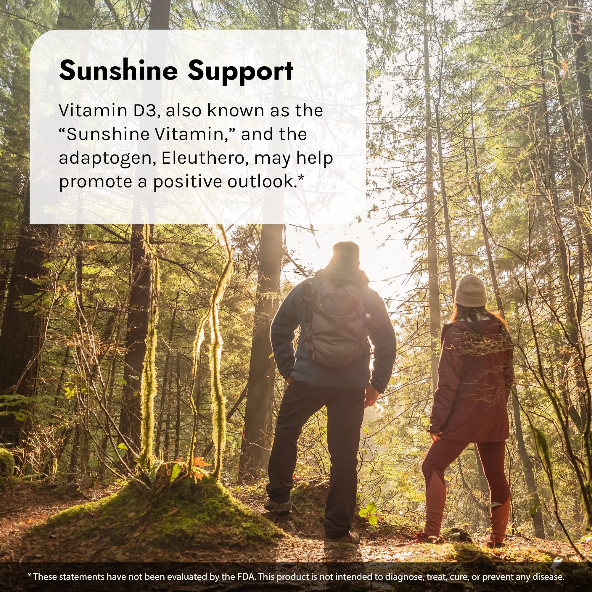 Irwin Naturals High Potency Mega D3 & K2 + Turmeric Extract - 60 Liquid Soft-Gels, Pack of 3 - Healthy Bones & Immune Function - 90 Total Servings