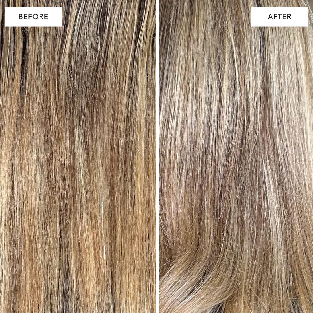 DPHUE Cool Blonde Shampoo 8.5 oz