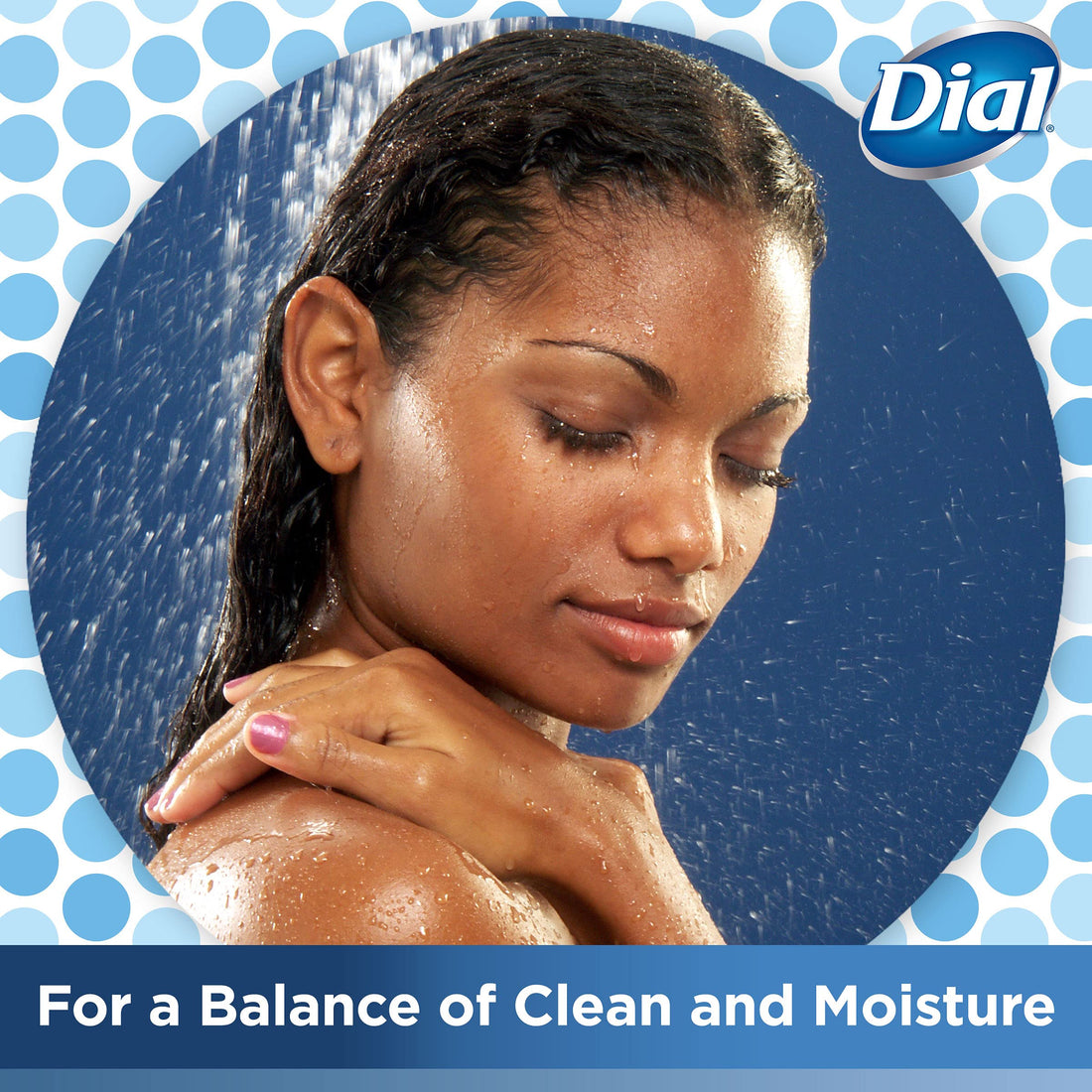 Dial Body Wash, Silk & Magnolia, 23 Oz (Pack Of 3)