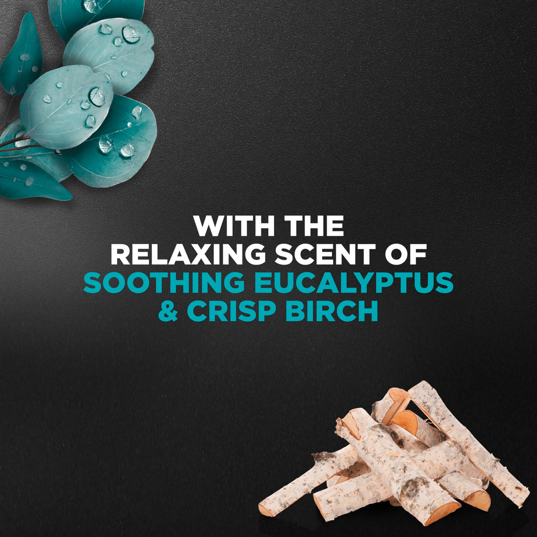 Dove Men+Care Mens Body Wash Dry Skin Body Wash with Micromoisture, Blue Eucalyptus and Birch Effectively Washes Away Bacteria While Nourishing Your Skin 18 oz 4 Count