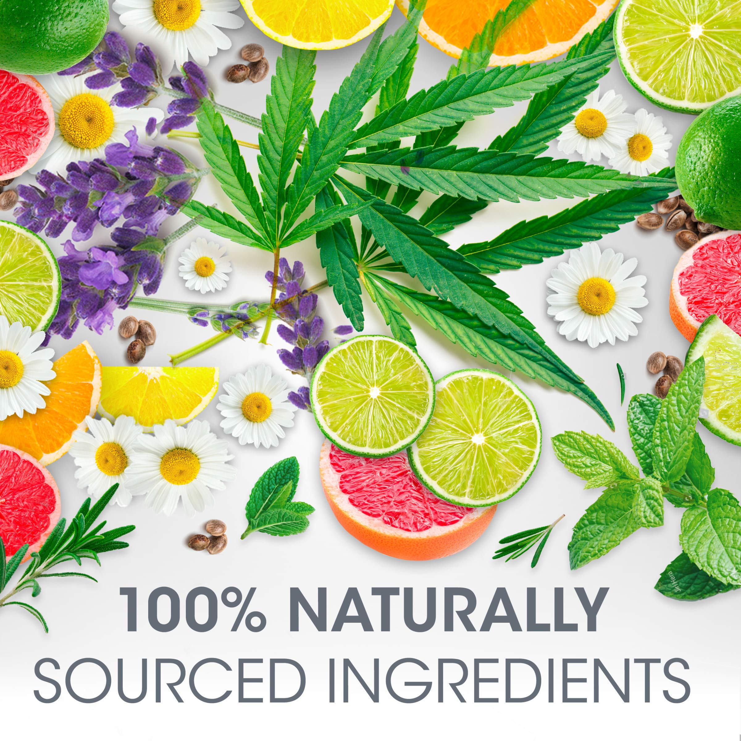 Chapstick Total Hydration Essential Oils Lip Balm, Happy Orange & Lemon, 0.12 Oz