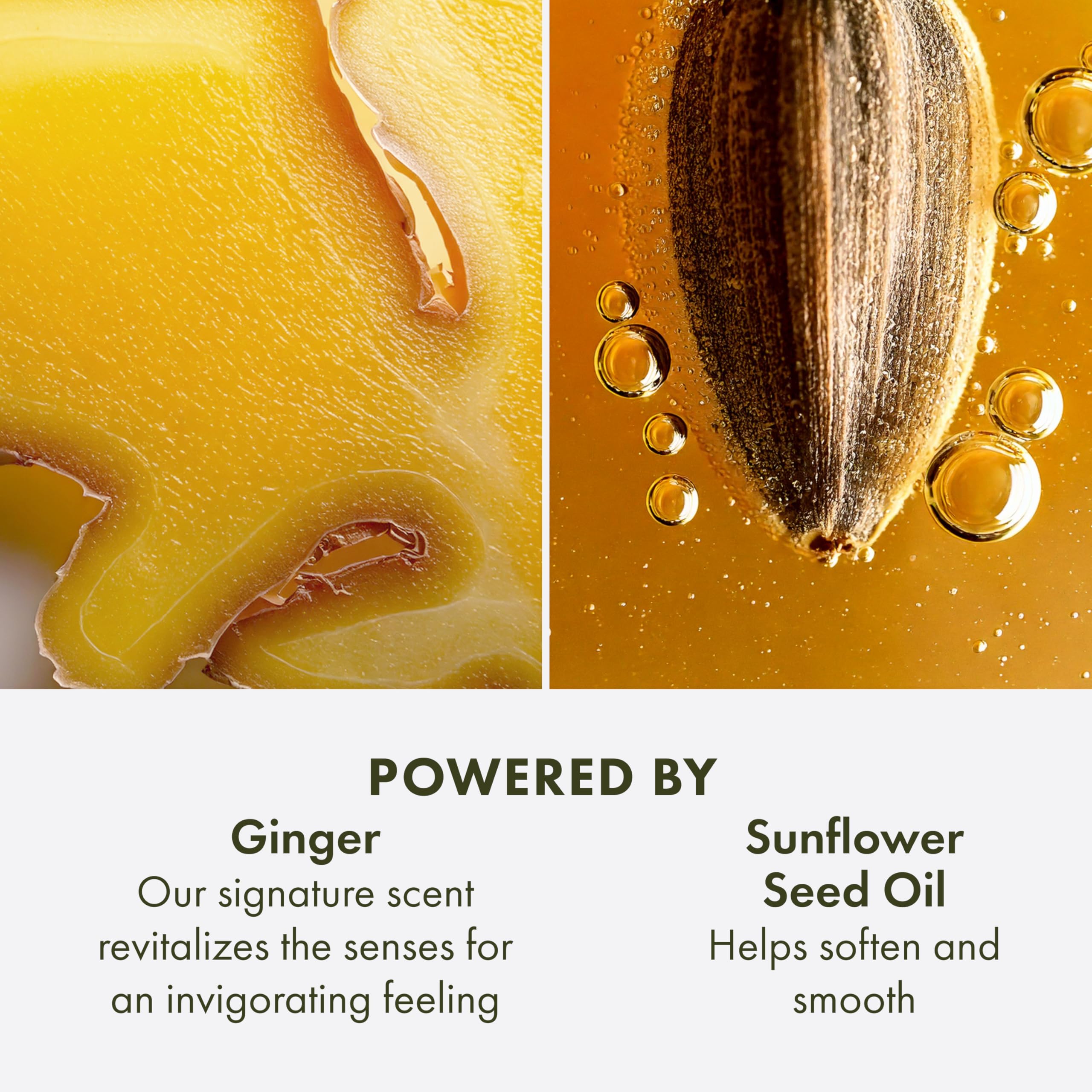 Origins Ginger Hand & Body Lotion for Dry Skin | Hydrates & Softens | With Vitamin E & Aloe Vera | Travel Size, 2.75 Fl Oz