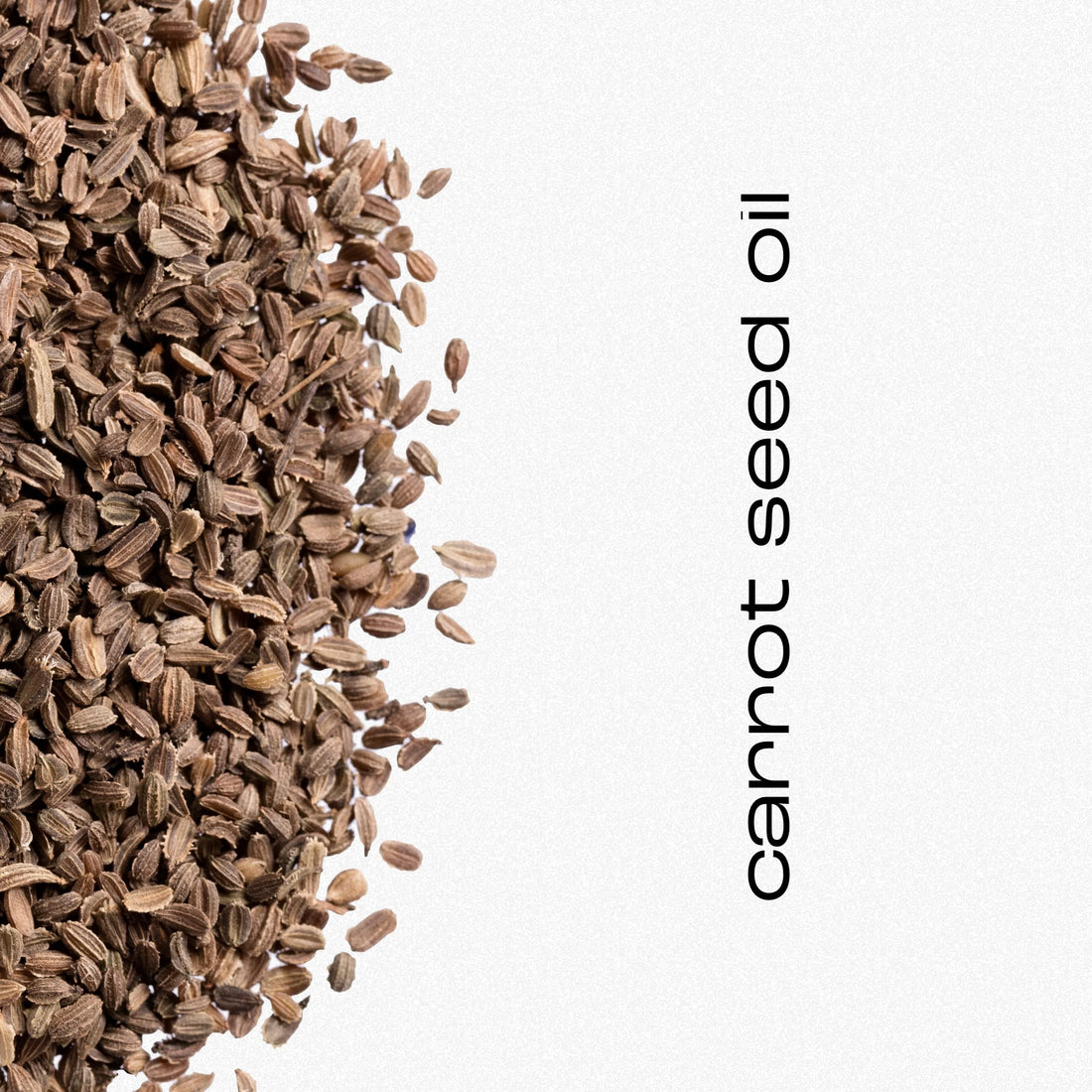 Natural Inspirations Sea Salt Citrus Moisturizing Bath & Shower Gel 12.5oz