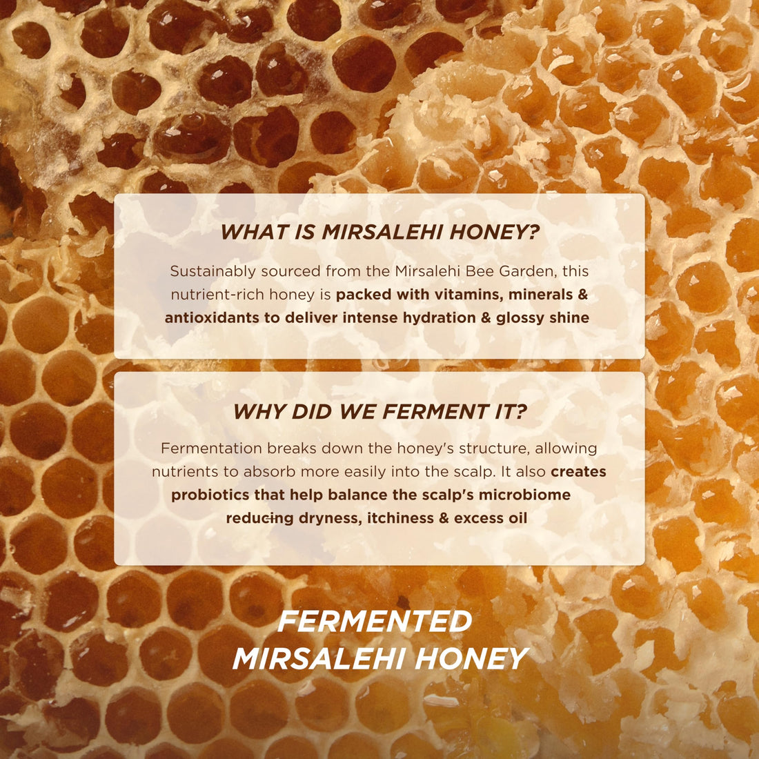 Gisou Take Me With You Spritz Set – 3 Mini Honey Infused Hair Perfumes – Hydration, Shine & Refreshing Floral Scent