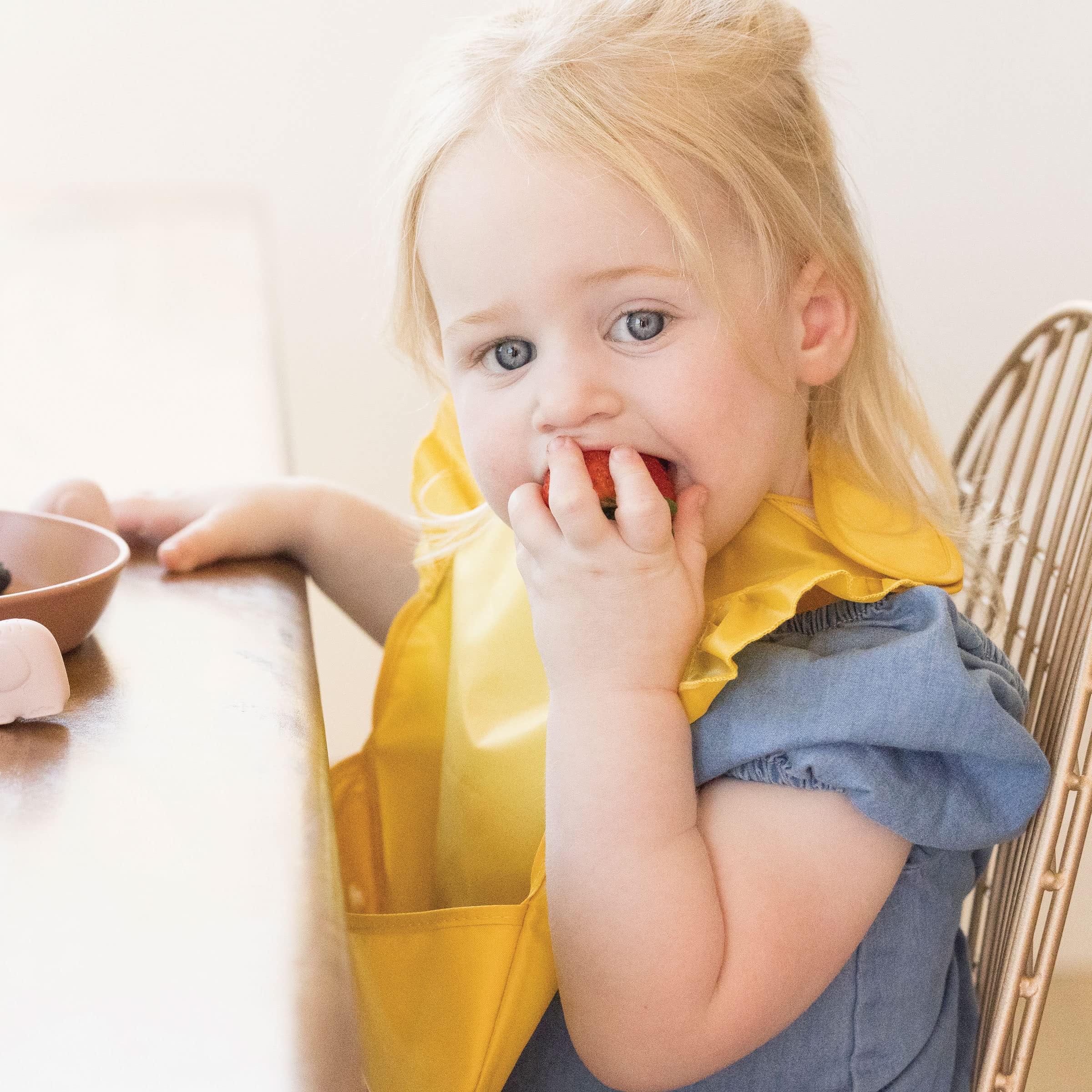 Tiny Twinkle Mess-Proof Baby Bib - Waterproof Bib for Baby Girl - Machine Washable - Adjustable Closure - PVC BPA & Phthalate Free - Great for Travel - Baby Food Bibs (3 Pack, Petite Safari)