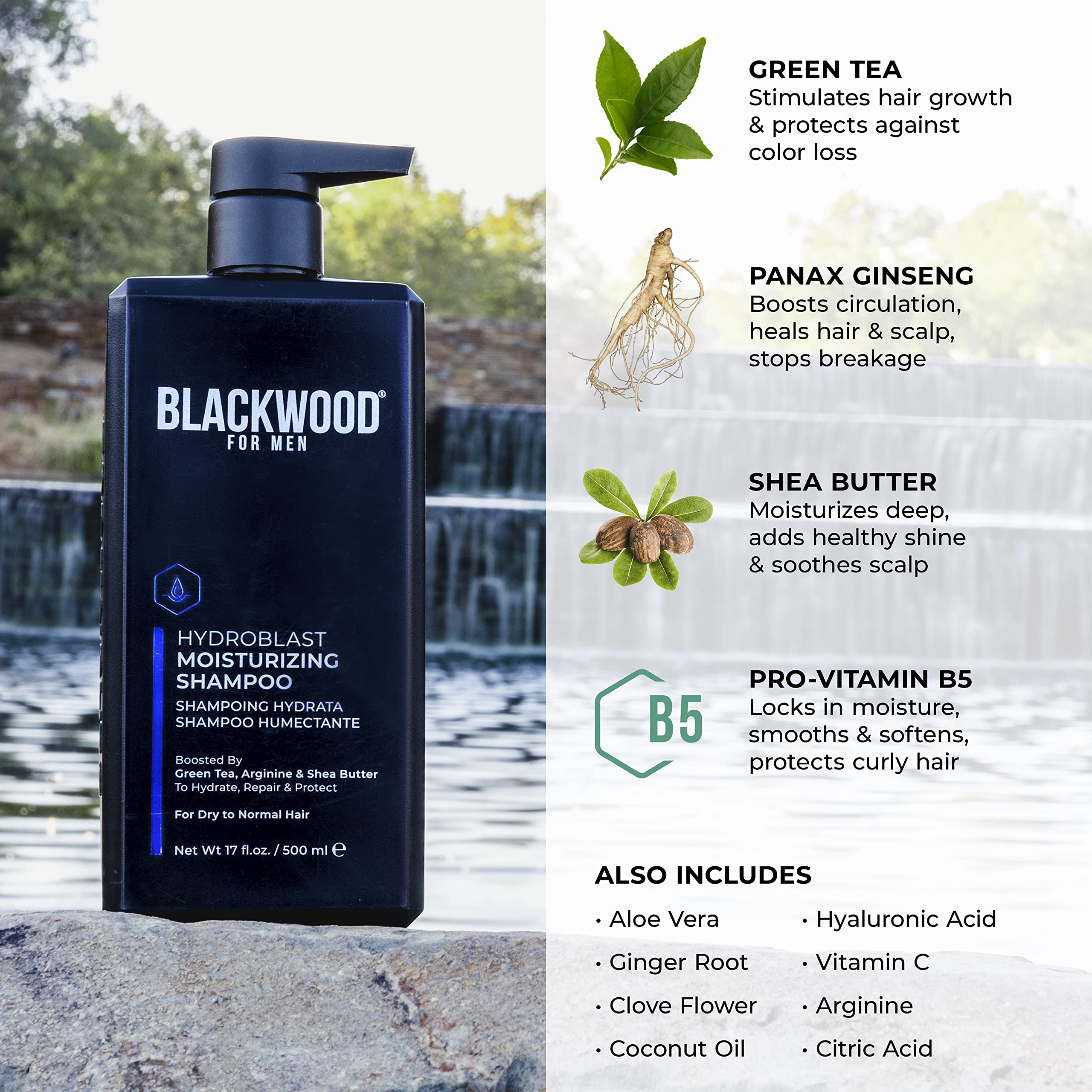 Blackwood For Men Hydroblast Moisturizing Shampoo - Men's Shampoo for Coarse, Dry, & Curly Hair - Infused with Ginseng & Ginger- Natural Vegan Formula -Sulfate Free, Paraben Free & Cruelty Free(17 Oz)