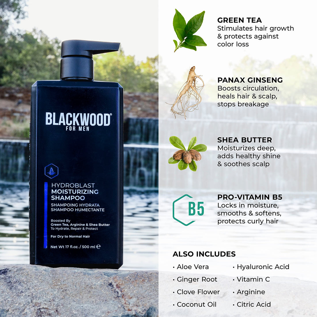 Blackwood For Men Hydroblast Moisturizing Shampoo - Men's Shampoo for Coarse, Dry, & Curly Hair - Infused with Ginseng & Ginger- Natural Vegan Formula -Sulfate Free, Paraben Free & Cruelty Free(17 Oz)