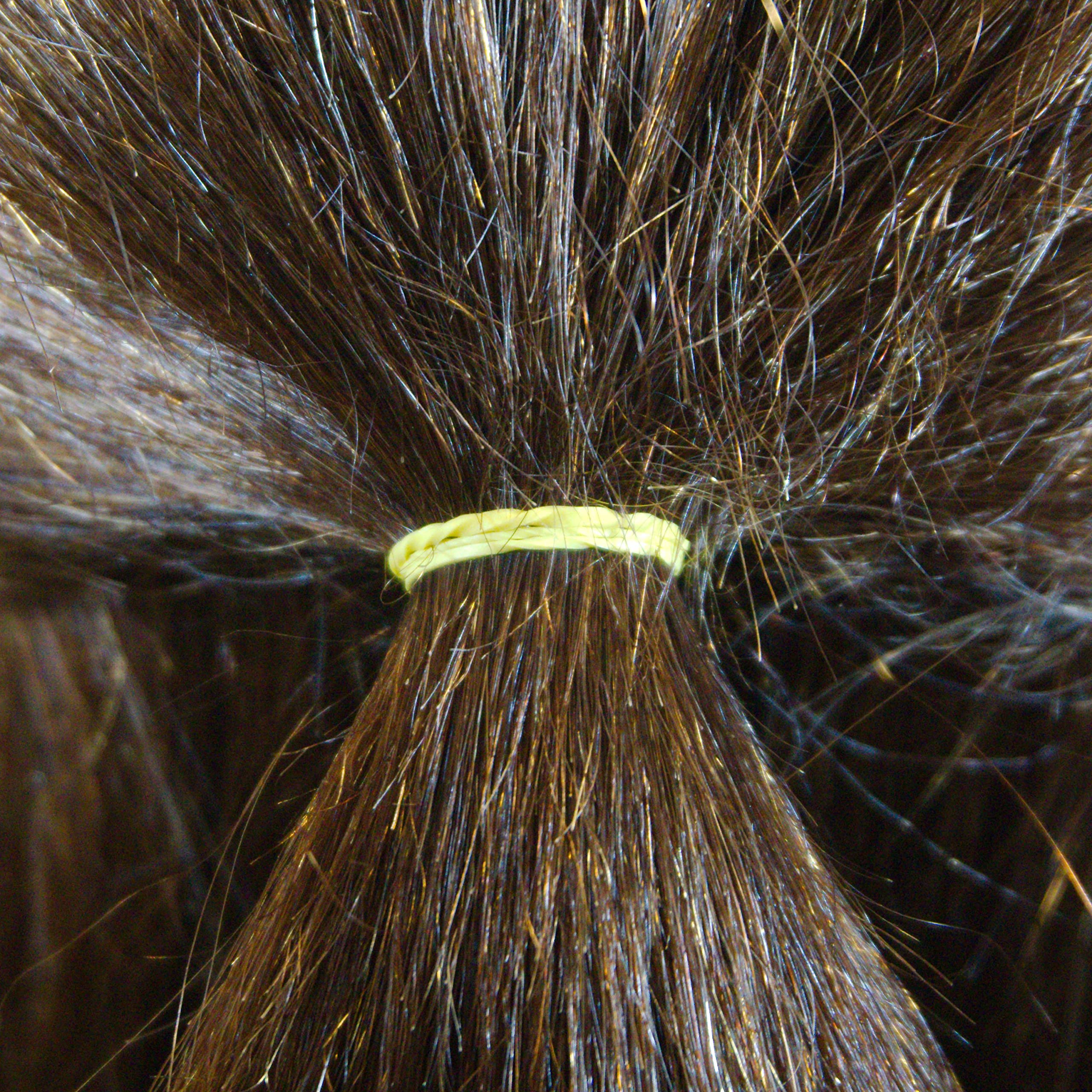 500 Count Rubber Bands in Re-closable Container for Ponytails and Braids (Brights)