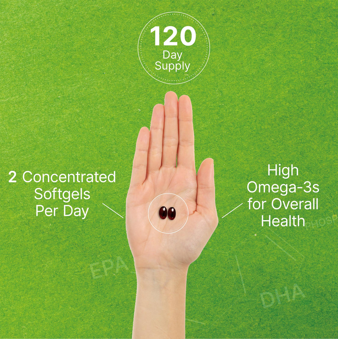 DEAL SUPPLEMENT Antarctic Krill Oil, 1,000mg Per Serving, 240 Softgels – Mercury Free, No Fishy Taste – Rich in Omega-3s, EPA, DHA, Astaxanthin, & Phospholipids – Non-GMO, No Gluten