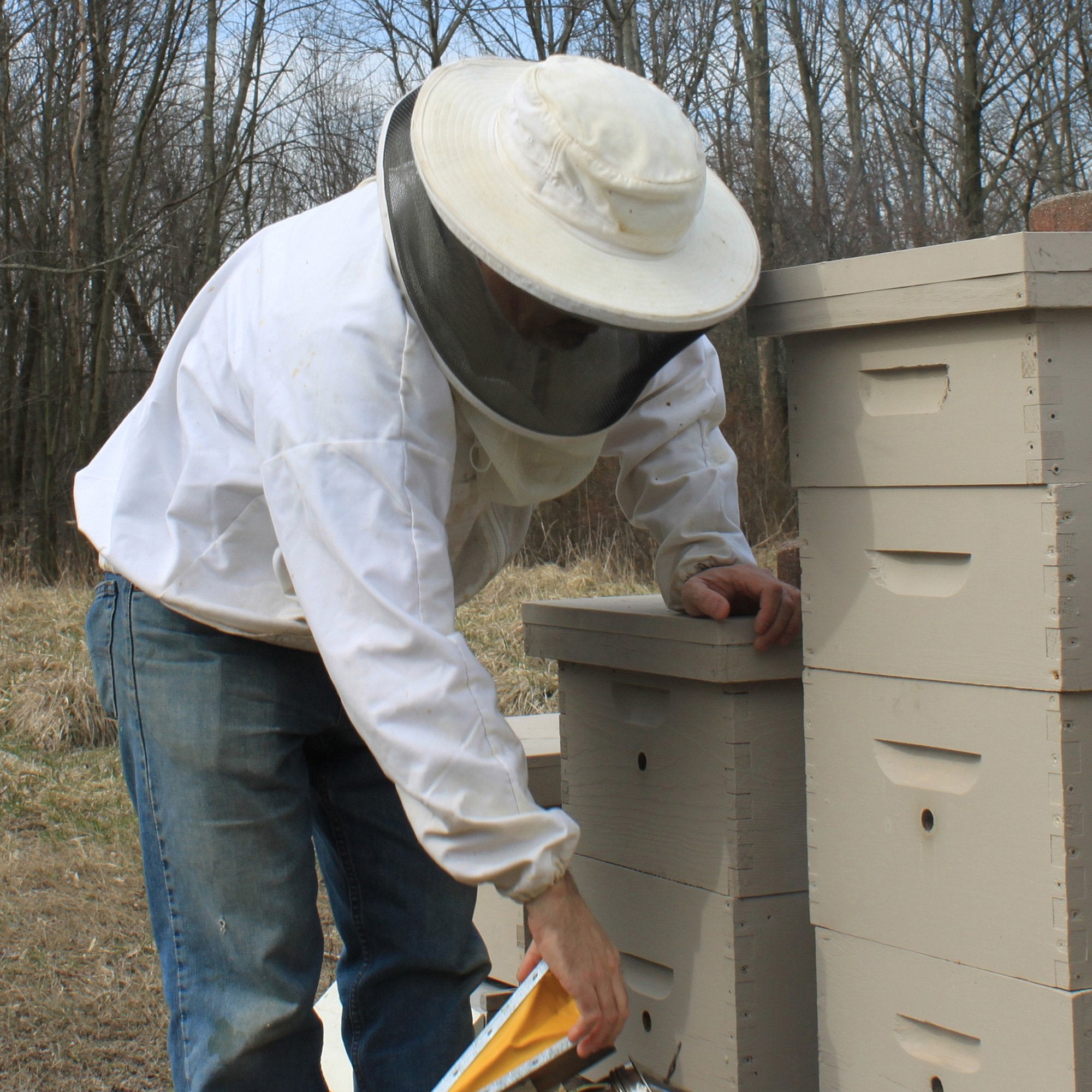 Beessential Relaxing Bar Soap, Lavender And Honey, 5 Ounce