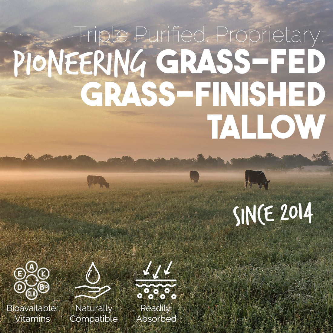 BALM OF GILEAD Tea Tree Balm - 2 fl oz Foot Cream with Tea Tree and Manuka Oil - Intensive Moisture for Itchy Feet, Eczema, Rashes & Dry Skin - Pure Balm That Softens Skin Irritations