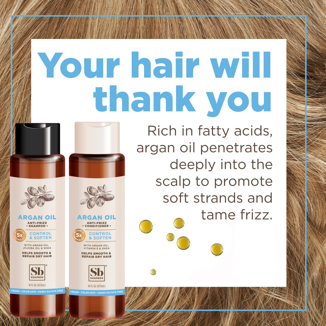 SoapBox Soaps Shampoo, Argan Oil with Shea Butter, 3 Count