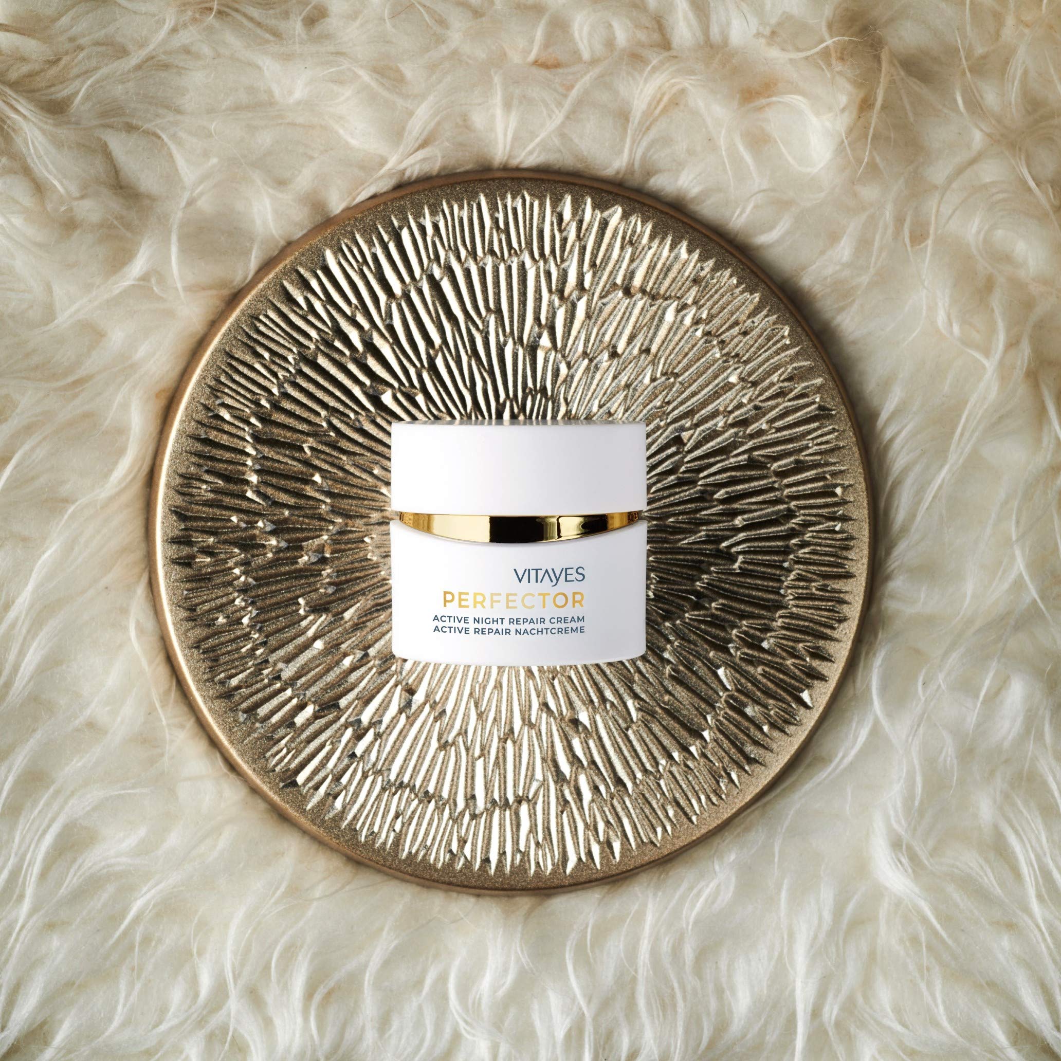 Vitayes Perfector Night Cream with Hydrasalinol and Active Repair Complex, Anti-Aging Moisturizing Cream for Face & Skin - Made in Germany - 50 ml