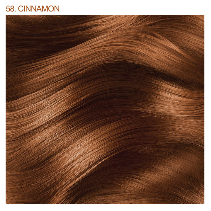 Adore SemiPermanent Haircolor 058 Cinnamon 4 Ounce (118ml) (2 Pack)