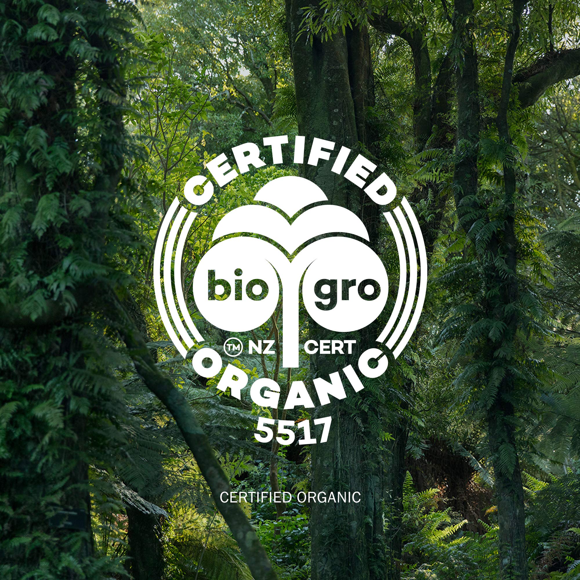 Antipodes Hosanna H20 Intensive Skin-plumping Serum