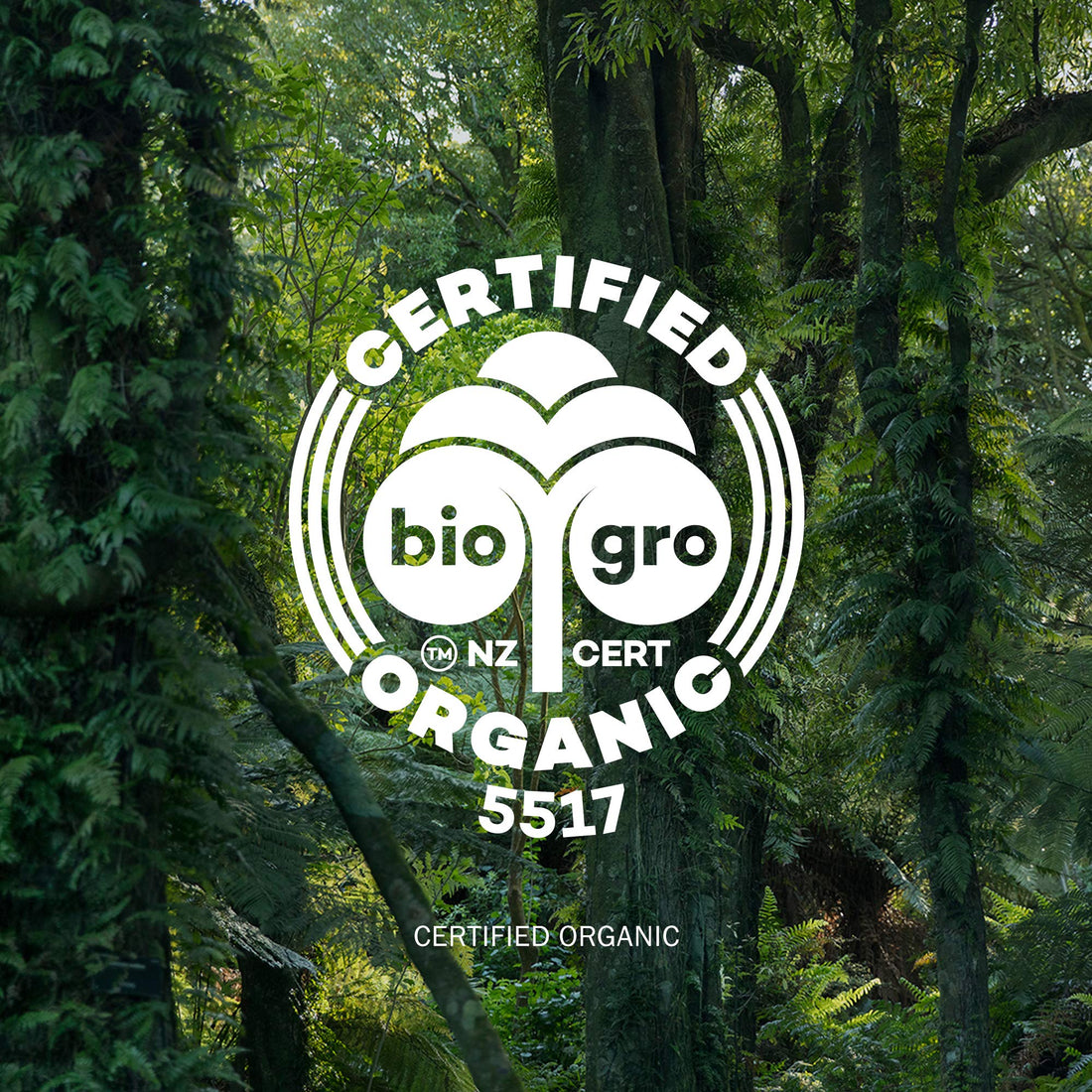 Antipodes Hosanna H20 Intensive Skin-plumping Serum