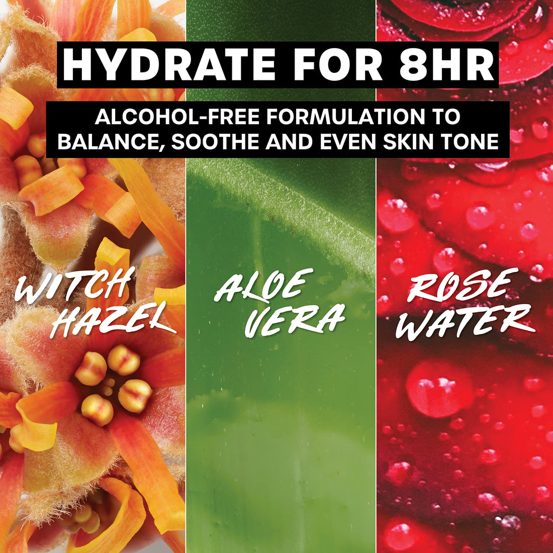 Thayers Alcohol-free Rose Petal Witch Hazel with Aloe Vera 3 Ounces