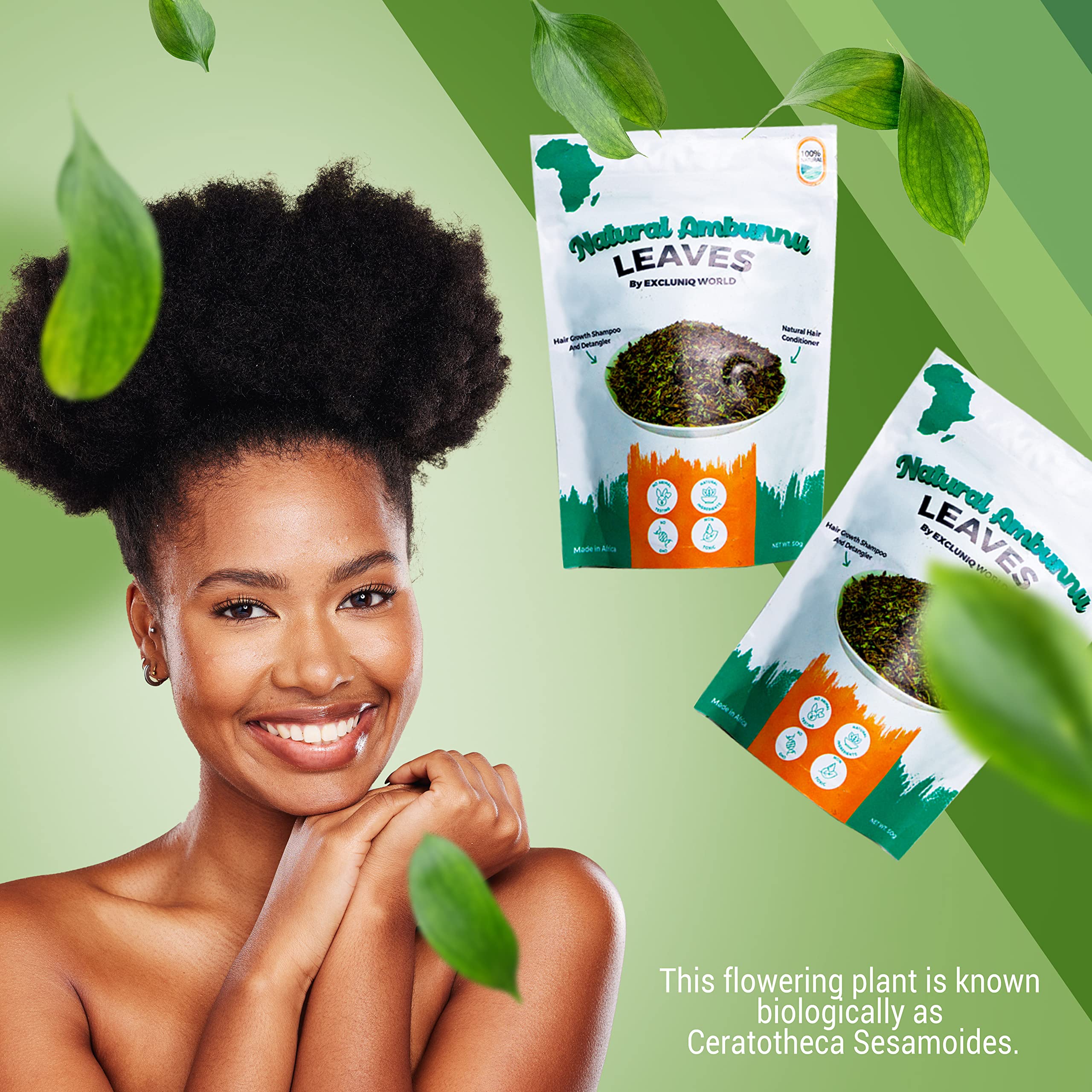Natural Ambunnu Leaves by Excluniq World 50g pack | Herbal Hair Detangler, Shampoo & Conditioner for Dry and Damaged Hair | African Traditional Scalp & Hair Care Remedy for Everyone. 1.80 Ounce Pack