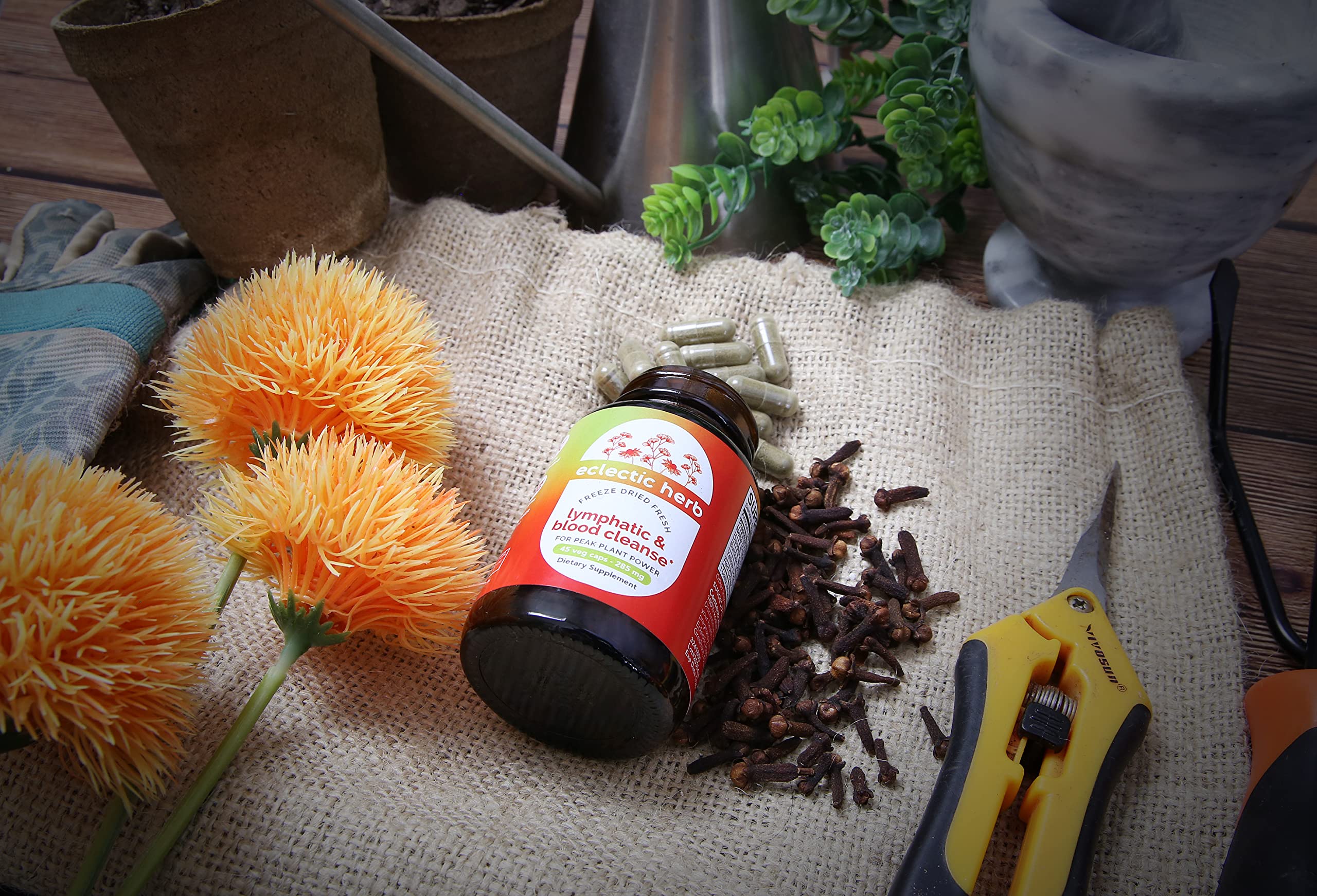 Eclectic Herb Lymphatic & Blood Cleanse | Freeze Dried Fresh, Whole Herbs, Naturally Concentrated | 45 Count