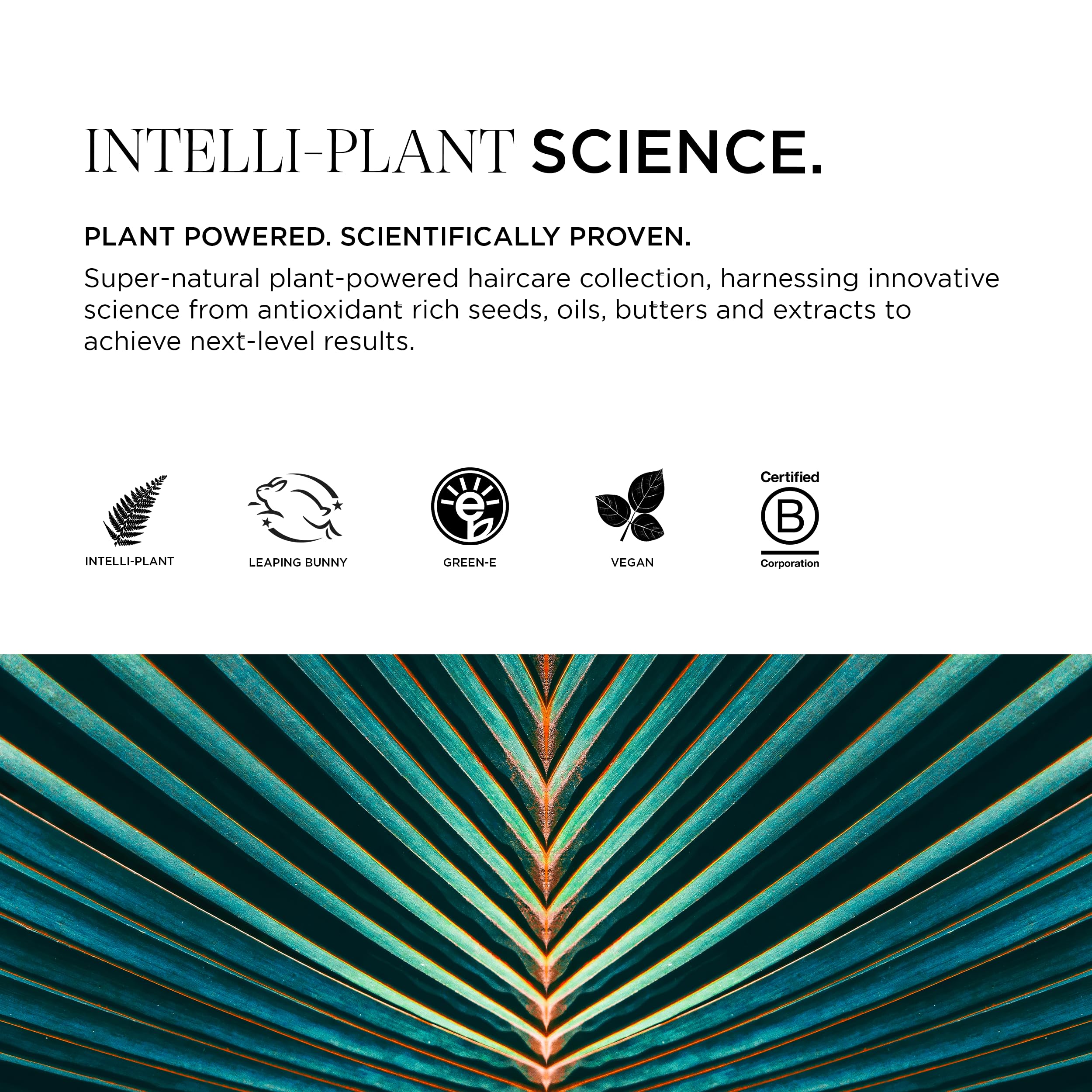 Intelligent Nutrients Fortifi-hair Shampoo, Moisturizing, Plant-Based Shampoo for Dry, Damaged Hair, Rejuvenates, Rebuilds, Vegan, 8.5 Oz