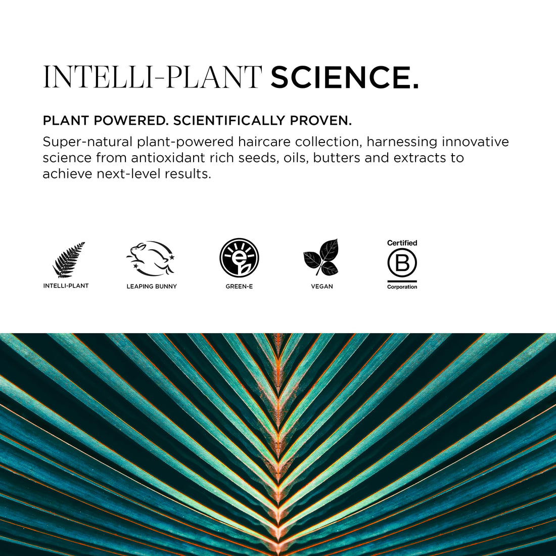 Intelligent Nutrients Fortifi-hair Shampoo, Moisturizing, Plant-Based Shampoo for Dry, Damaged Hair, Rejuvenates, Rebuilds, Vegan, 8.5 Oz