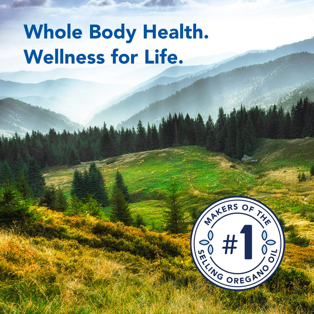 North American Herb & Spice ScalpClenz Shampoo - 8 fl oz - Black Seed Oil Renew Formula - Hair & Scalp Support, Beautifies & Refreshes - Non-GMO