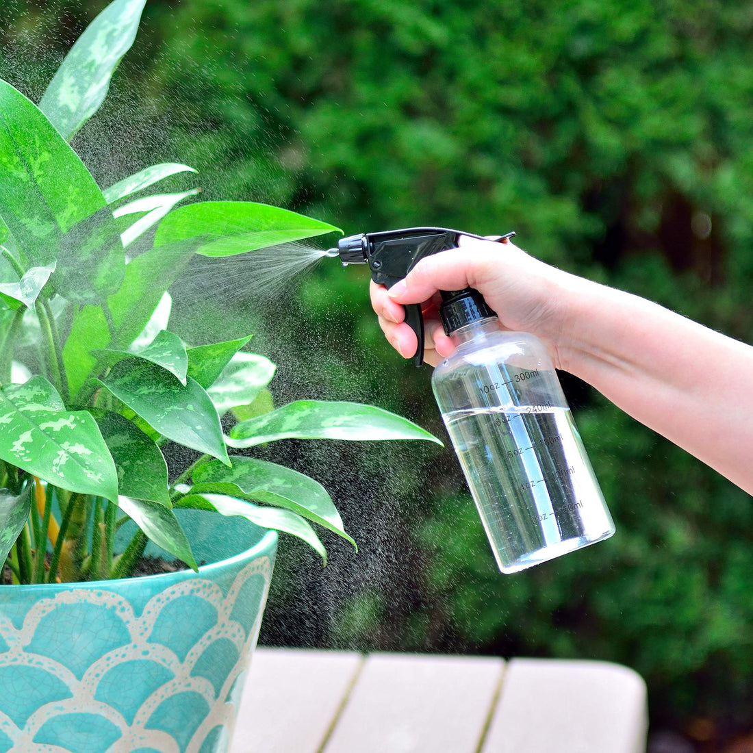 Youngever 6 Pack Empty Plastic Spray Bottles, Spray Bottles for Hair and Cleaning Solutions (12 Ounce)