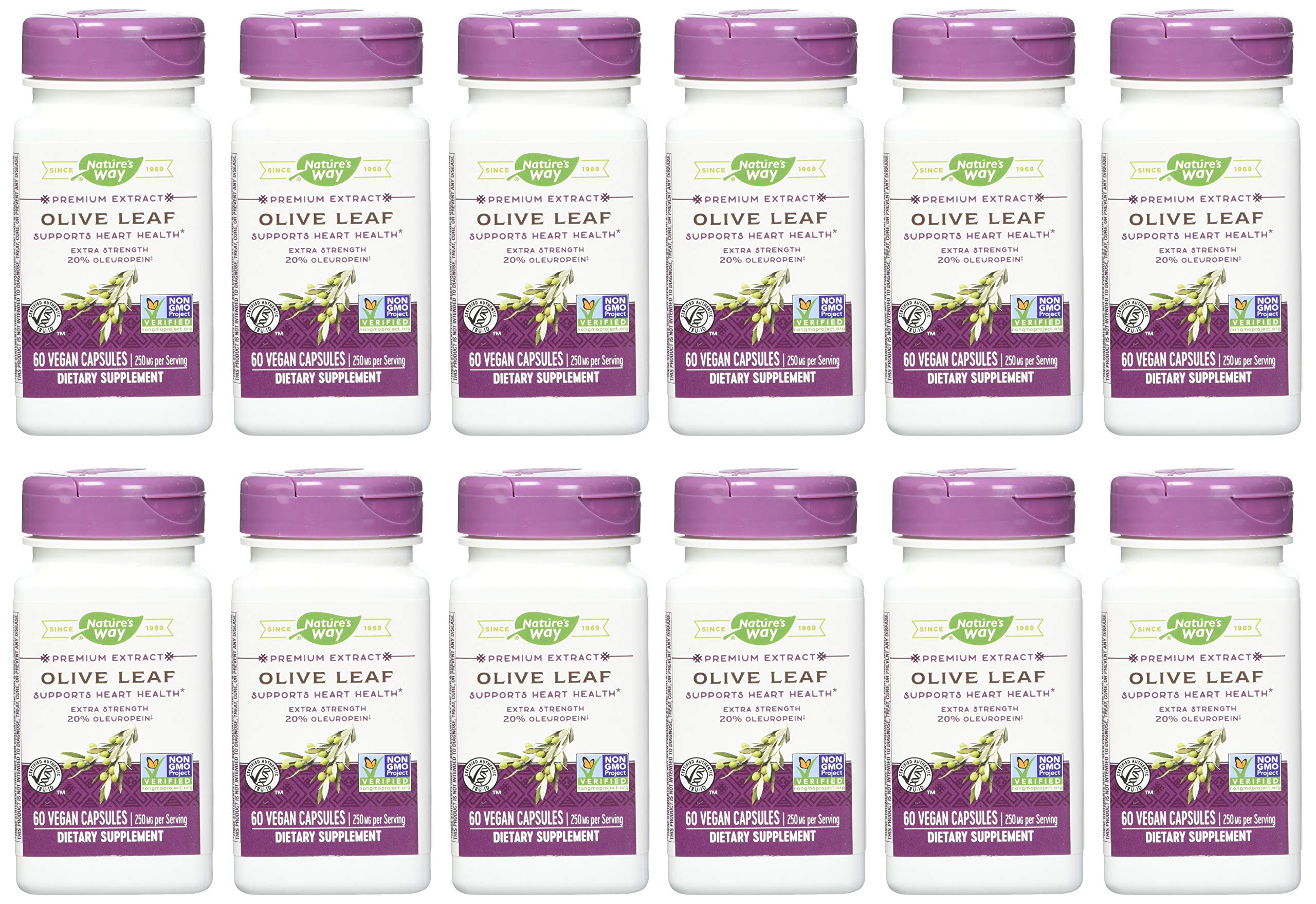 Nature's Way Nature's Way Premium Extract Standardized Olive Leaf 20% Oleuropein, 250 Mg Per Serving, 60 Vcaps, 60 Count (Pack of 12)