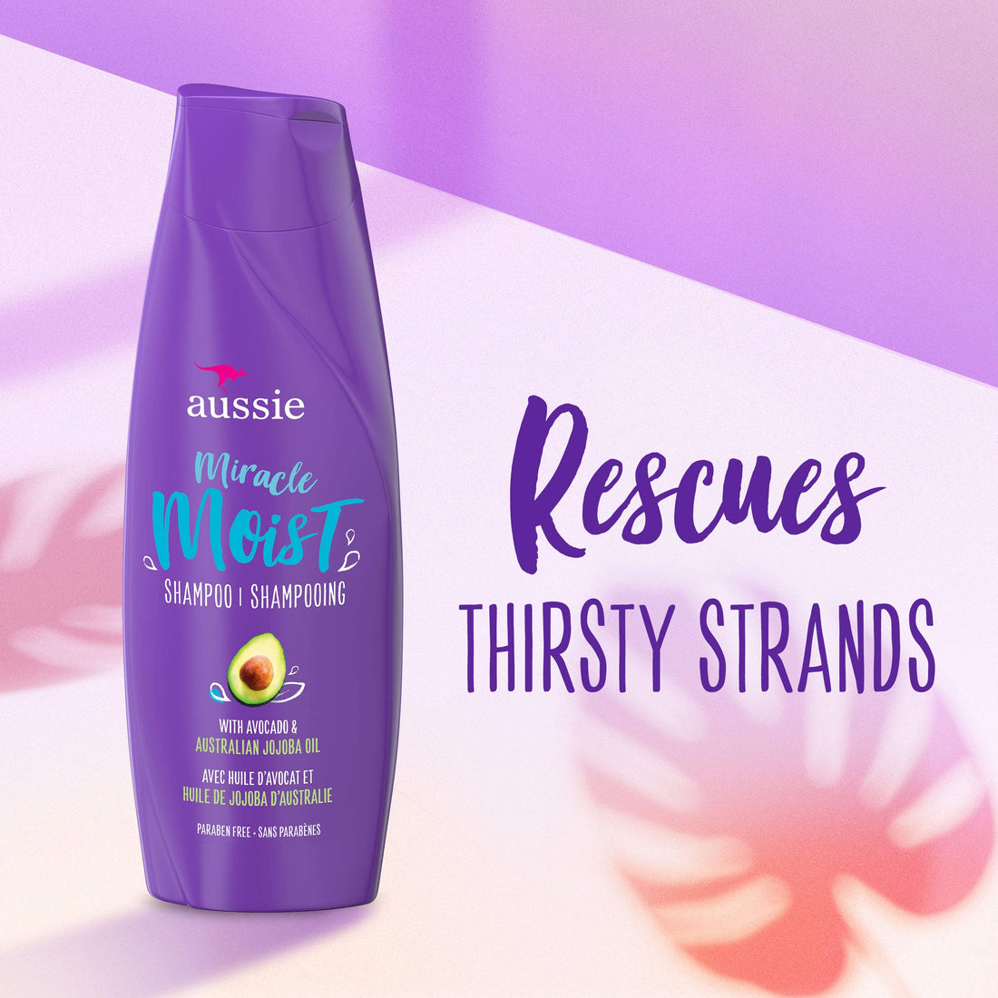 Aussie Paraben-Free Miracle Moist Shampoo with Avocado & Jojoba for Dry Hair, 30.4 Fluid Ounce, 4 Count: Avocado and Jojoba Shampoo 4 Count
