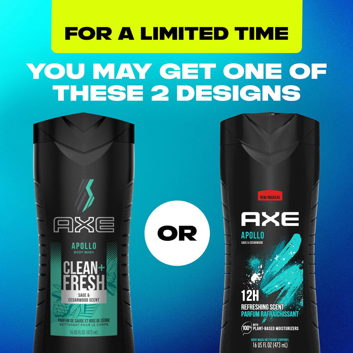 AXE Body Wash Apollo 4 Count for Long Lasting Freshness Sage & Cedarwood Men's Body Wash with Odor-Busting Prebiotics 16 oz