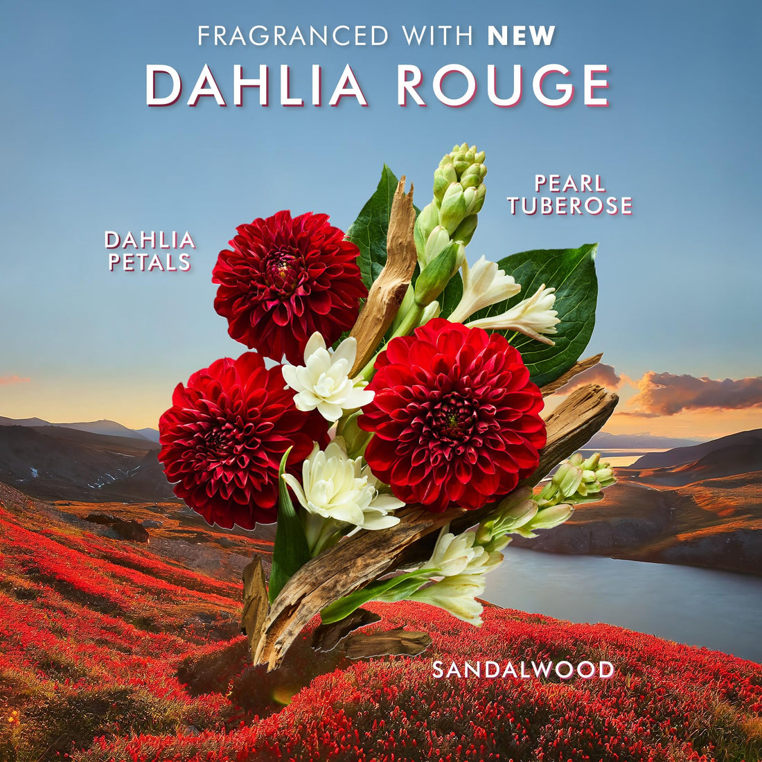 Moroccanoil Hand Cream Dahlia Rouge, 1.4 Fl. Oz.