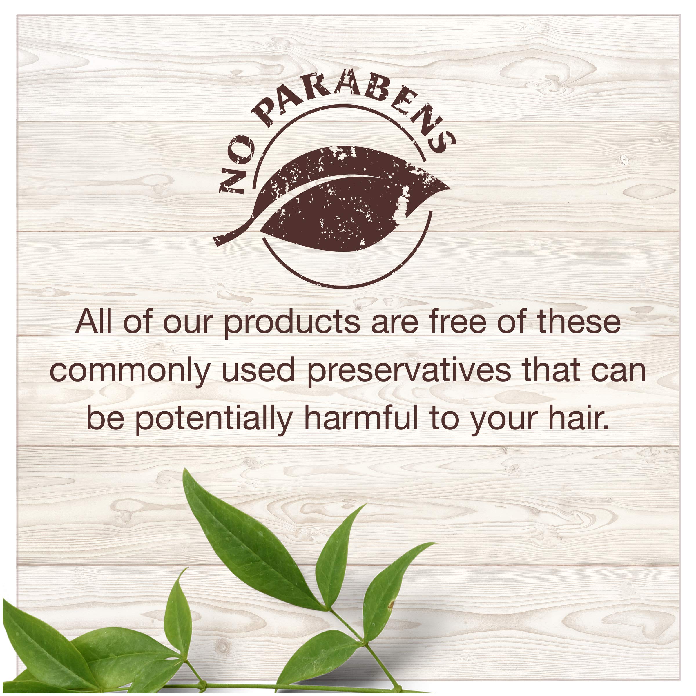 Garnier Hair Care Whole Blends Ginger Recovery Strengthening Conditioner, 12.5 Fl Oz