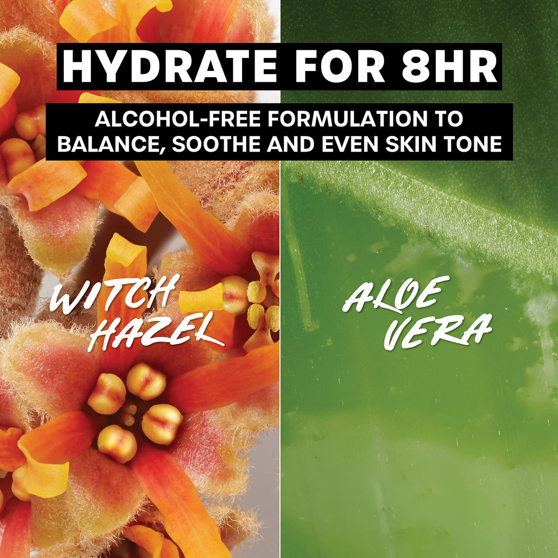 Thayer's Original Witch Hazel, 12 fl Oz