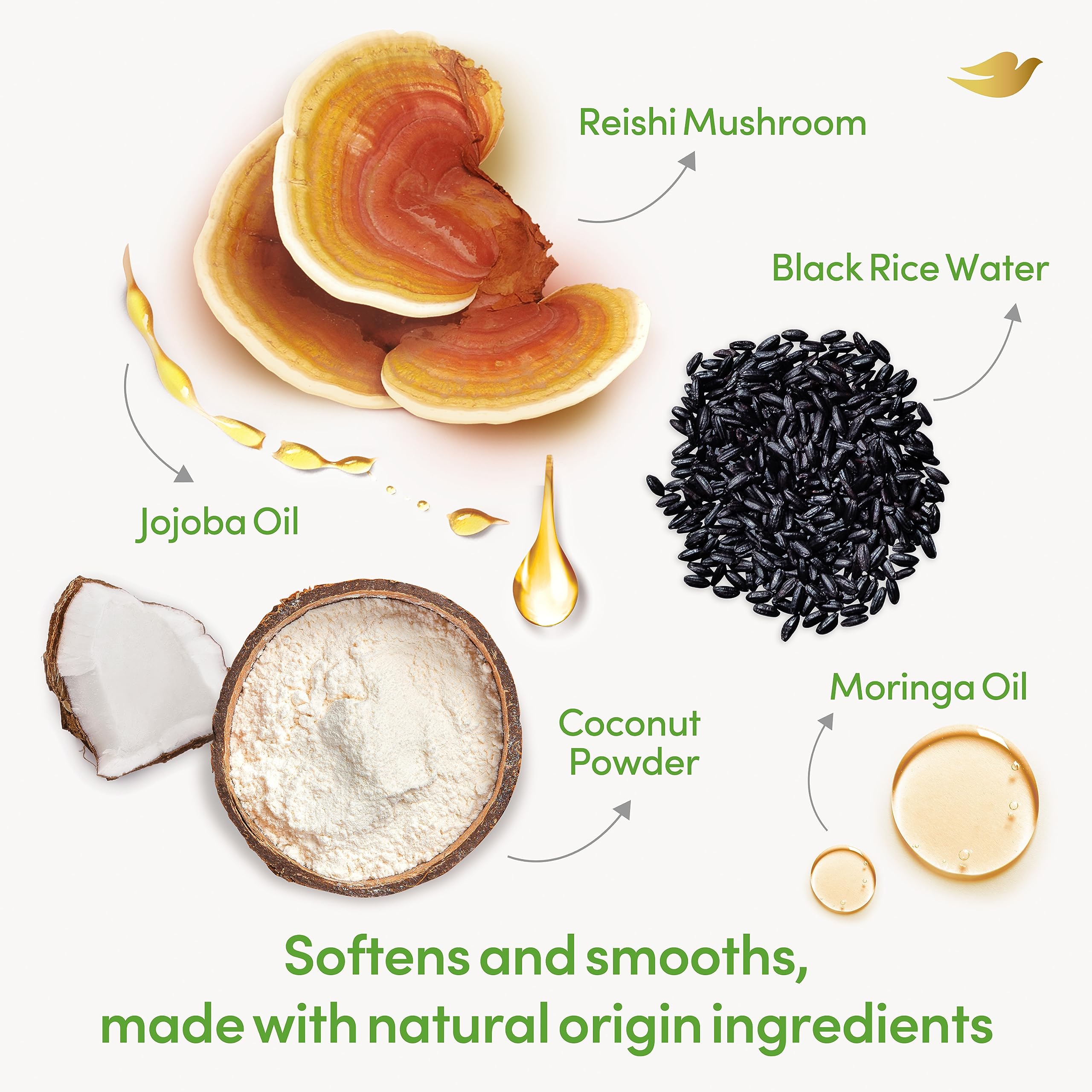 Dove Powered By Nature Smoothing Body Polish Exfoliating With 5 Natural Origin Ingredient Blend For Skin Care 10.5 oz (Pack of 1)