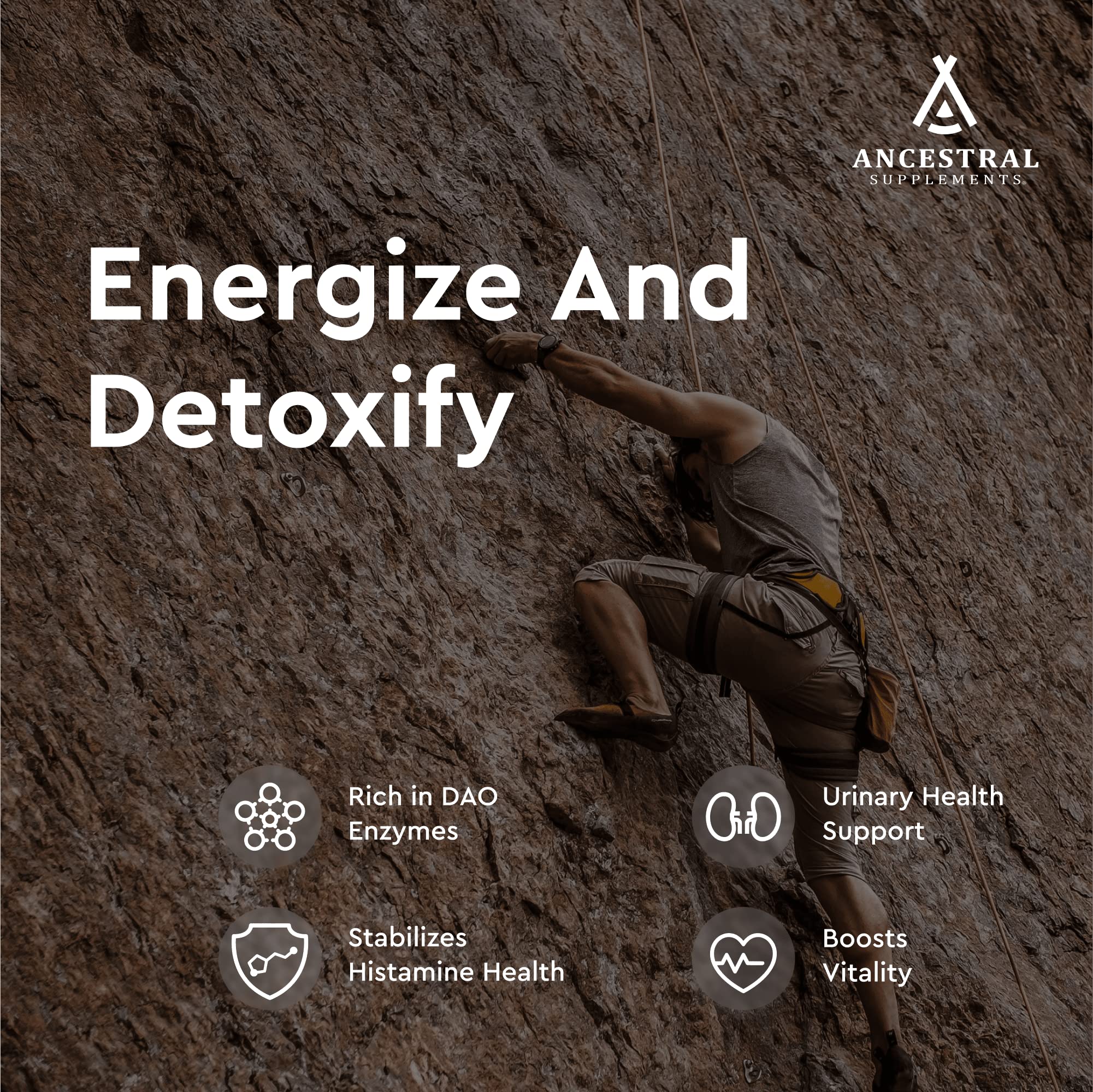 Ancestral Supplements Grass Fed Beef Kidney Supplement, 3000mg, DAO Enzyme Supplement, Kidney Support for Urinary and Histamine Health, Selenium, B12, Non GMO, 180 Capsules