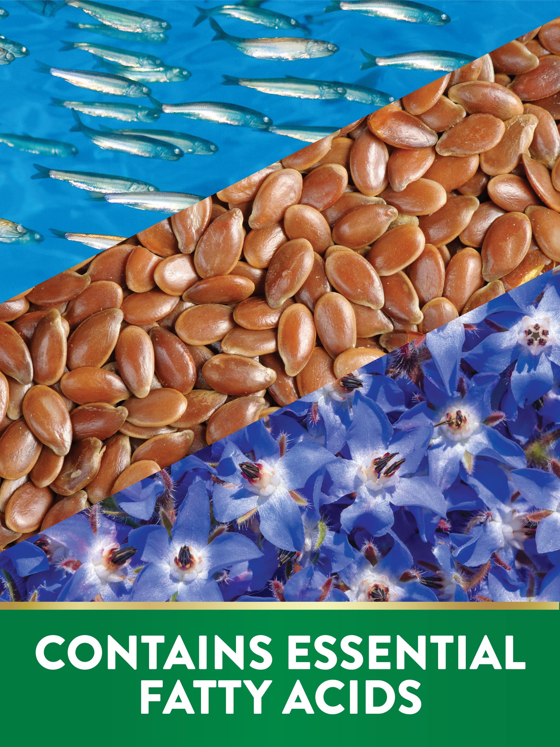 Nature's Truth Omega 3-6-9 Softgels | 3600mg | 120 Count | Fish, Flax, & Borage Oil | Triple Strength | Non-GMO & Gluten Free Supplement