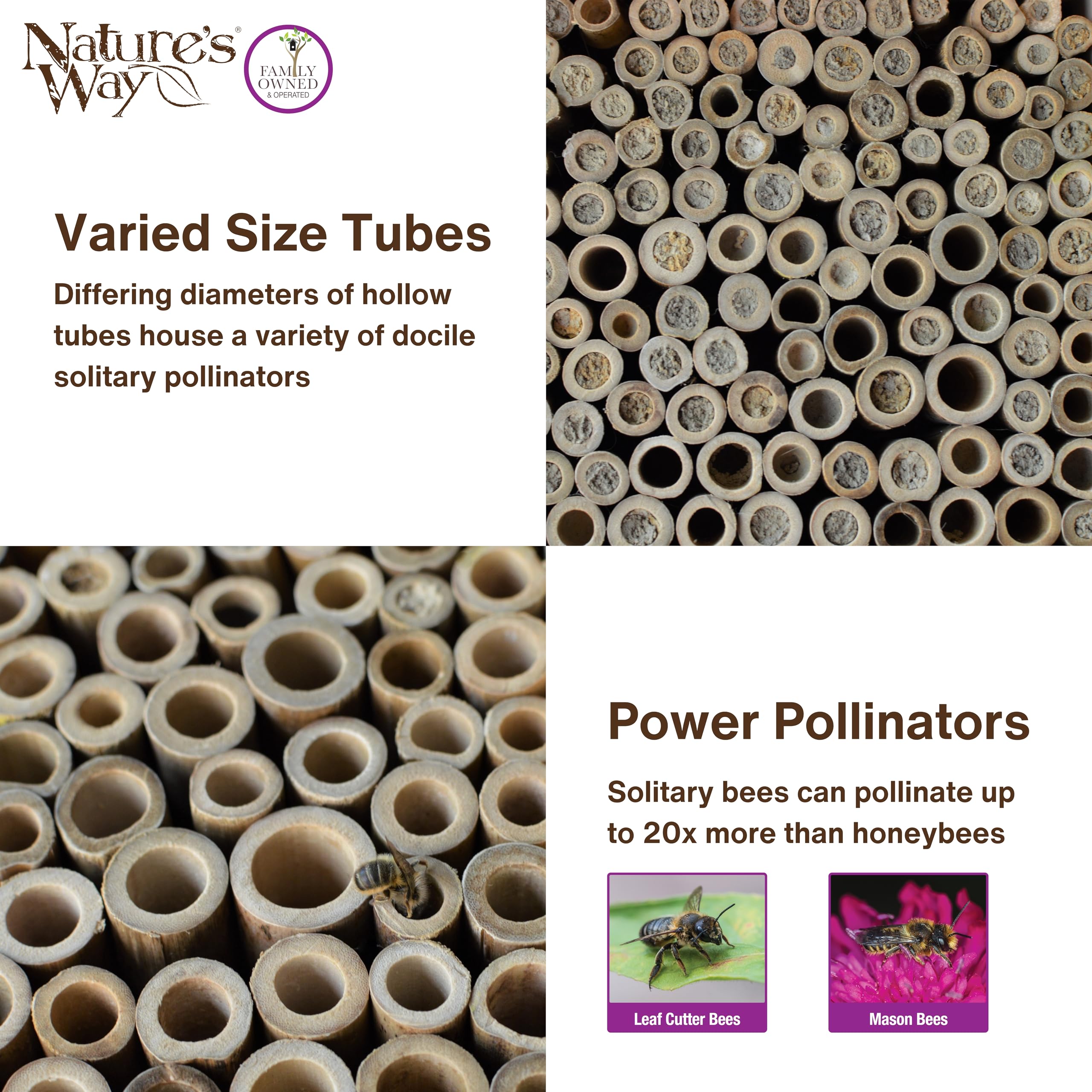 Nature's Way Wooden Bee House for Outdoor Décor, Beneficial Insects and Pollinators, Mason Bee, Leafcutter Bee, White