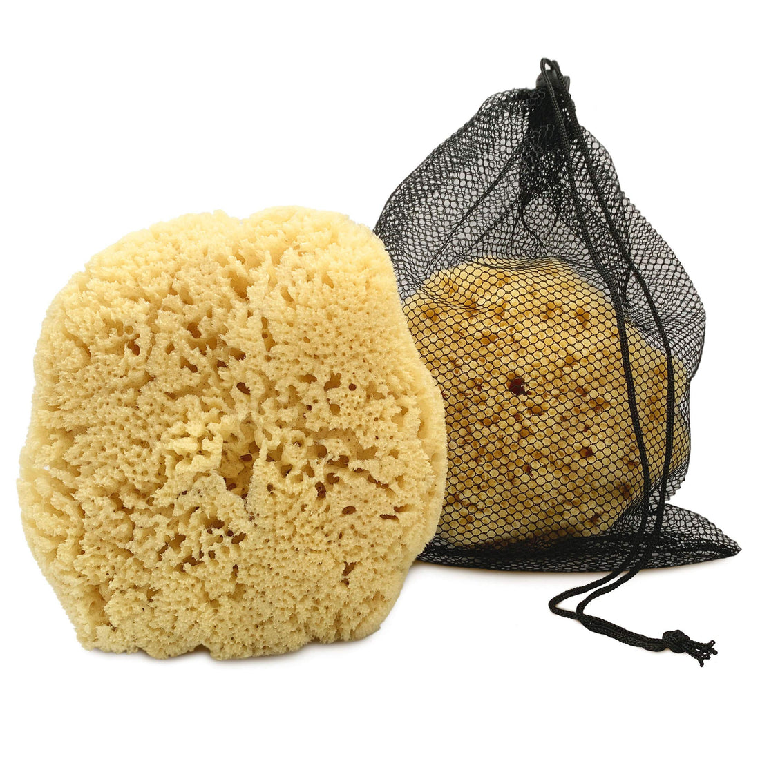Real Sea Sponge for Men - Extra Large 6-7, Totally Natural, Kind on Skin for an Invigorating Shower, Supplied in Breathable Mesh Bag. Great for The Gym, Grooming, Bath & Body Gift by Constantia Man