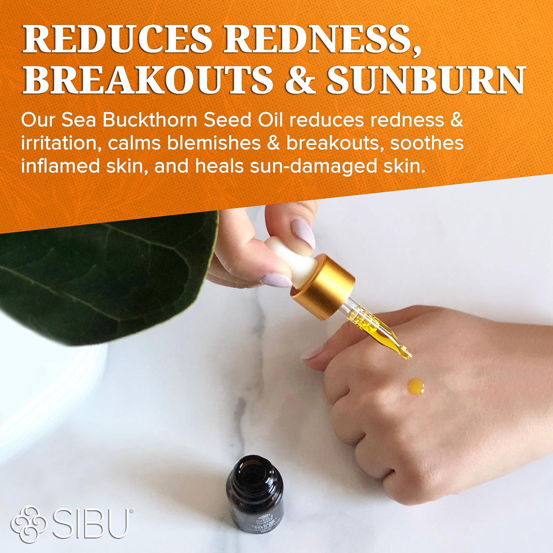 Sibu Premium Himalayan Sea Buckthorn Seed Oil, USDA Organic (10ml) – Amazing for Sensitive Skin, Breakouts, & Irritation