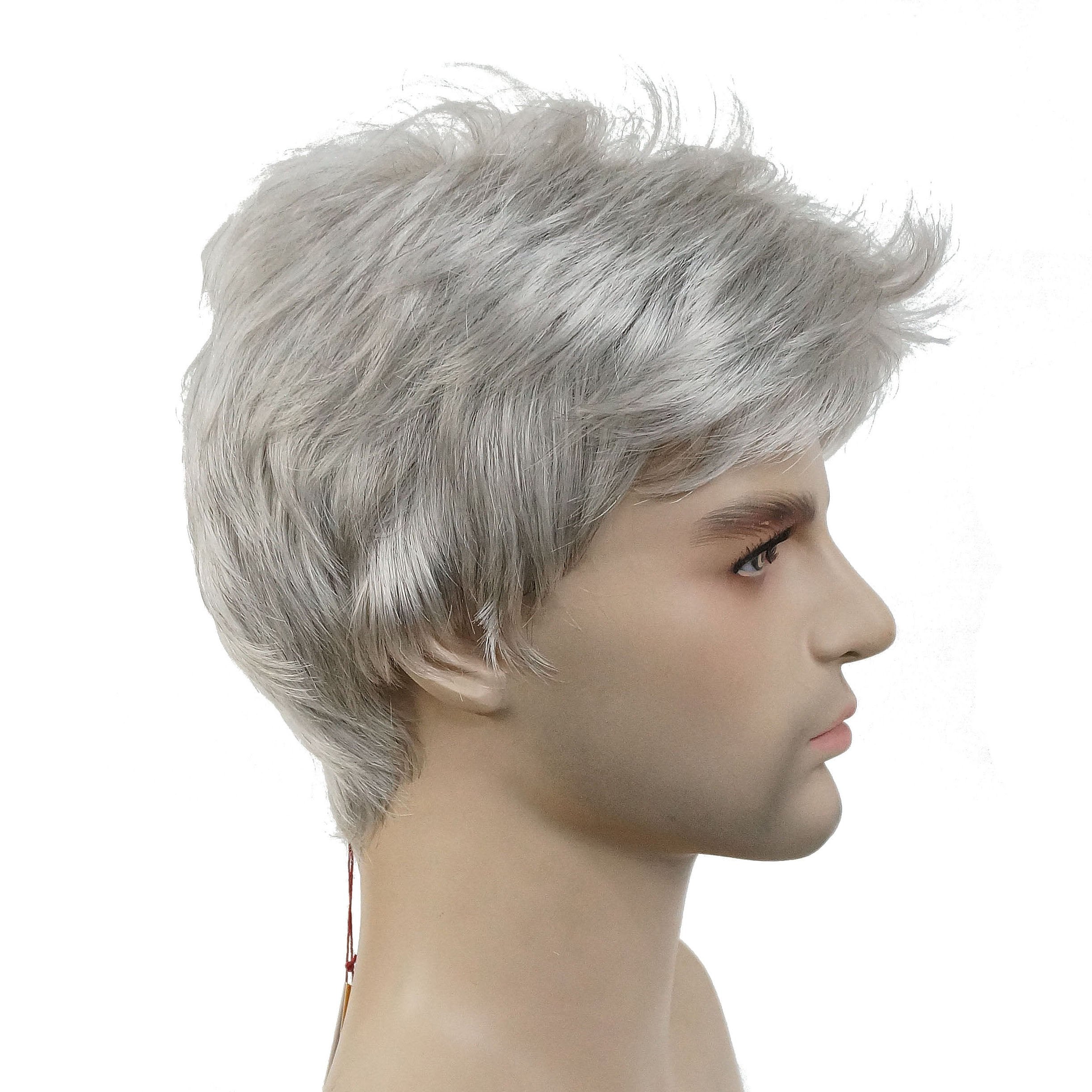 Lydell Men Wig Natural Short Straight Hair Synthetic Full Wigs (Silver Grey)