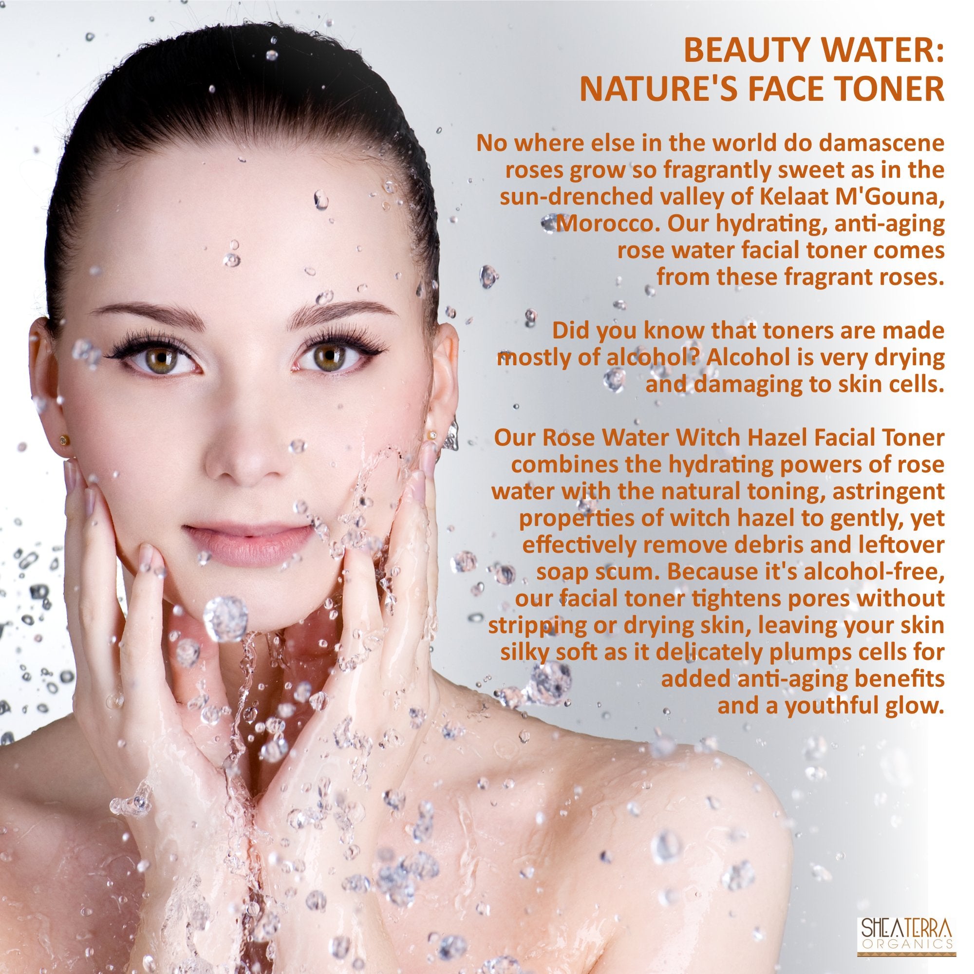 Shea Terra Organics Moroccan Rose Water Witch Hazel | Hydrating Facial Toner to Nourish Skin and Tighten Pores without Drying Skin - Paraben and Alcohol Free - 4 oz