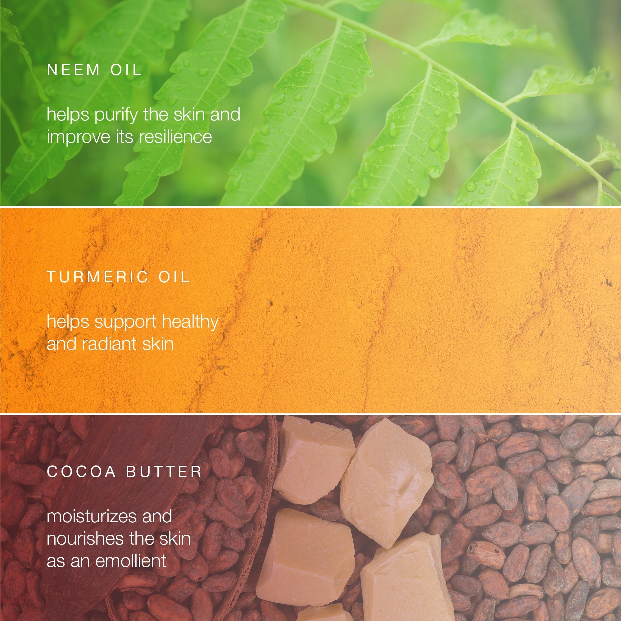 Himalaya Botanique Purifying Body Bar for a Total Body Deep Cleaning for Oily and Acne Prone Skin, Purifying Neem & Turmeric, 4.41 Ounce