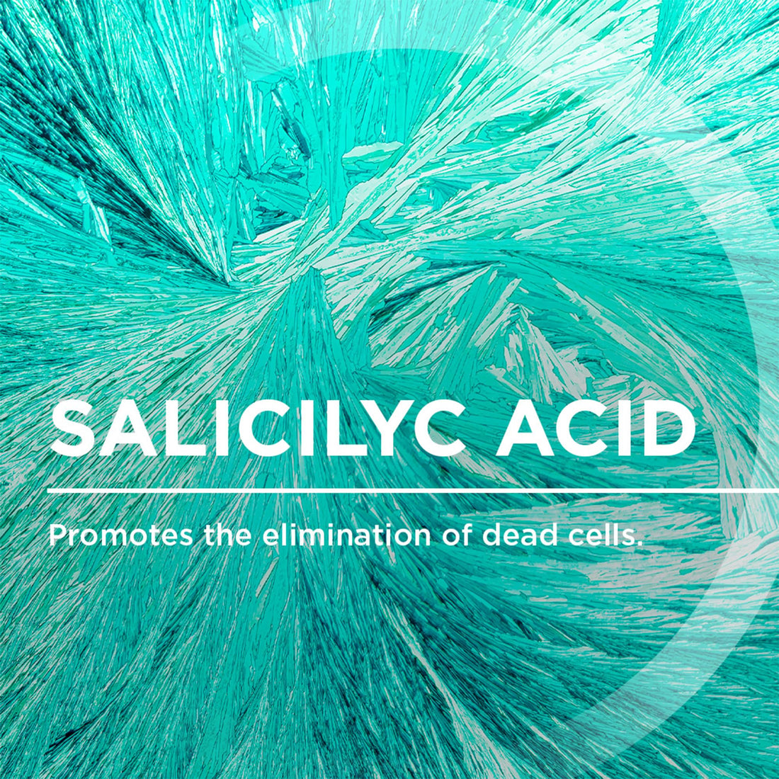 Bioderma Sébium Mat Control Cream, Mattifying and Moisturizing Daily Cream for Combination to Oily Skin, 1 Fl Oz