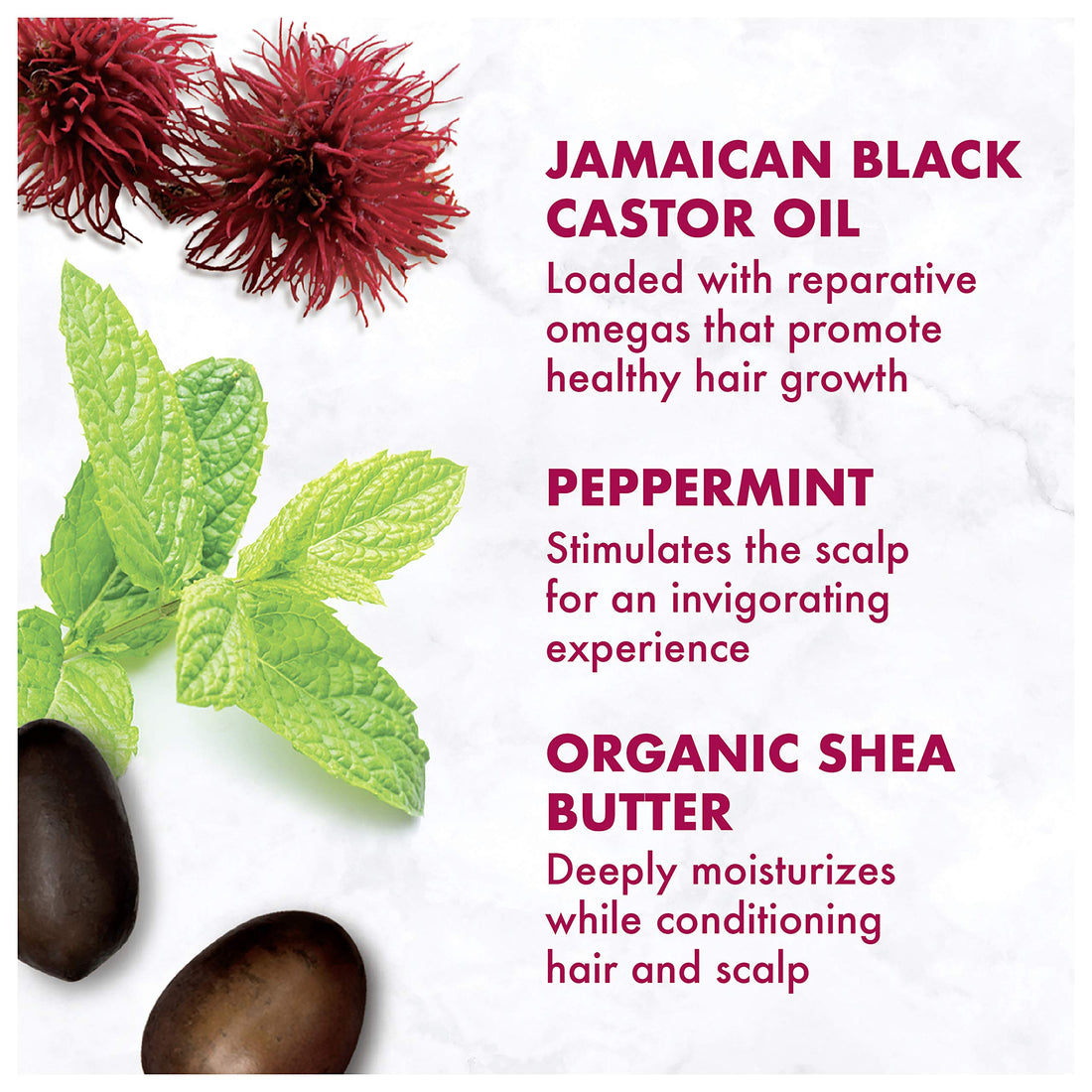 Shea Moisturiserure Jamaican Black Castor Oil Masque Tretment Packet 2 Ounce