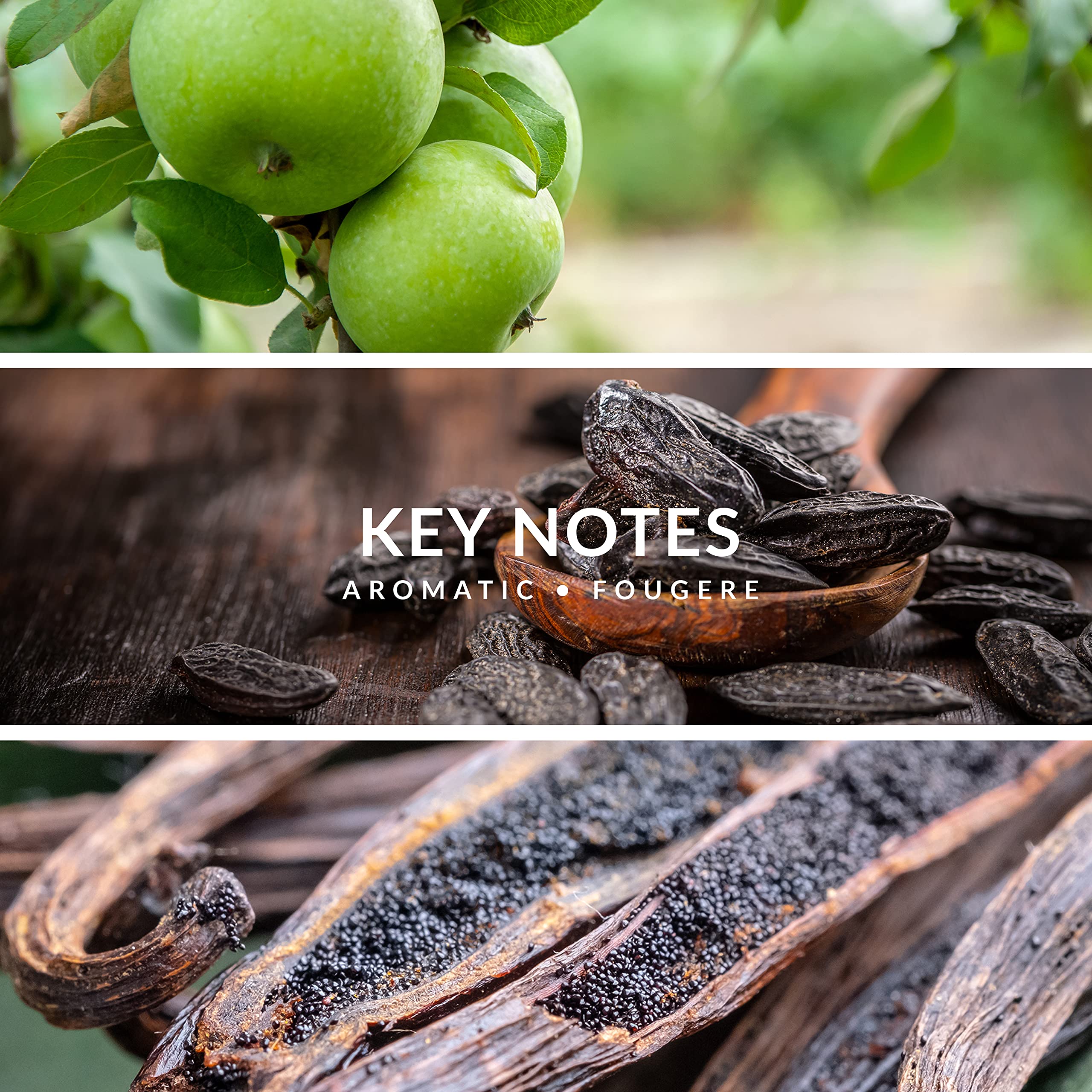 YZY Perfume Territoire Desire by YZY Perfume Eau De Parfum Spray 3.4 oz for Men