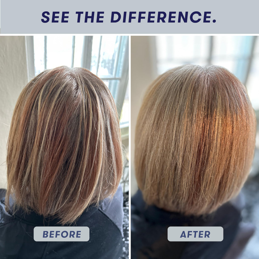 HiBAR Plastic-Free Shampoo Bar - Maintain for Normal or Oily Hair | All natural, no sulfates, phthalates, parabens, silicones or cruelty.